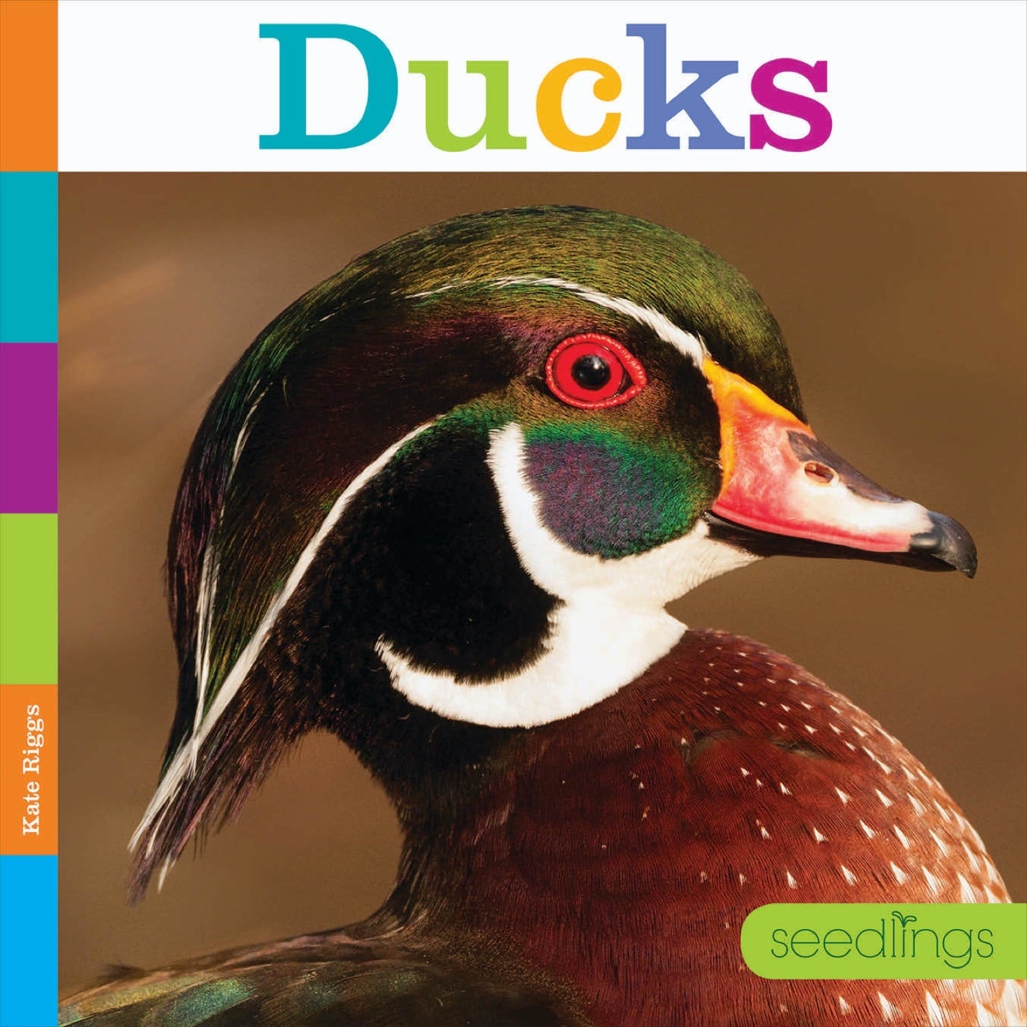 Ducks 9781608189700 - Realistic Duck Figurines for Home Decor, Collectibles, and Educational Use