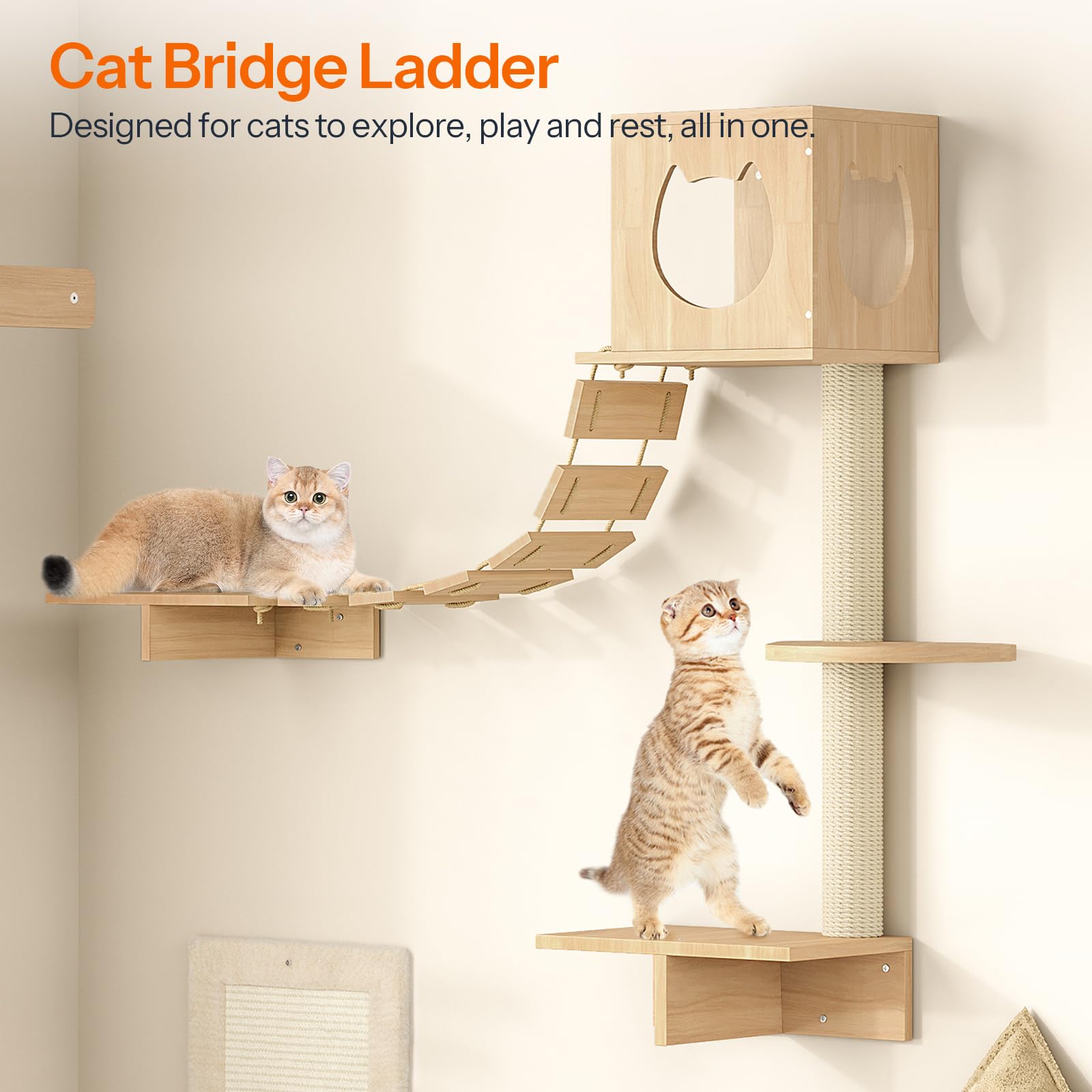 HOOBRO 5-Piece Wooden Cat Wall Shelves Set - Cat Climbing Furniture, Corridor, House, Plush Hammock & Scratching Board - Durable Natural Wood for Indoor Cat Play (Model NL45CS03) | Perfect for Small Spaces, Cat Exercise & Wall Decor