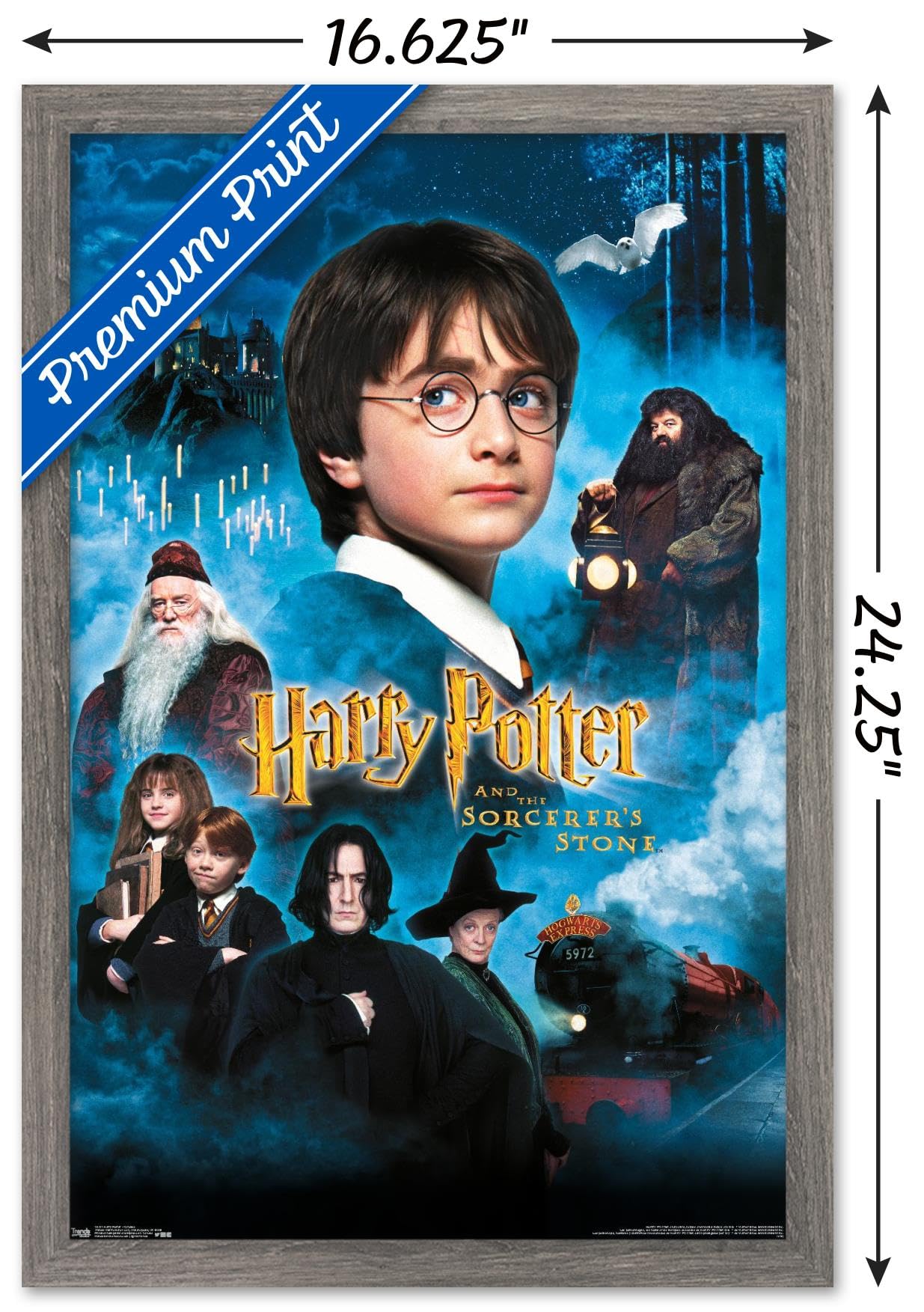Trends International Harry Potter and the Sorcerer's Stone Movie Poster - 14.725 x 22.375 Inch Barnwood Framed Wall Art - Perfect for Home Decor, Office, or Gift for Potter Fans