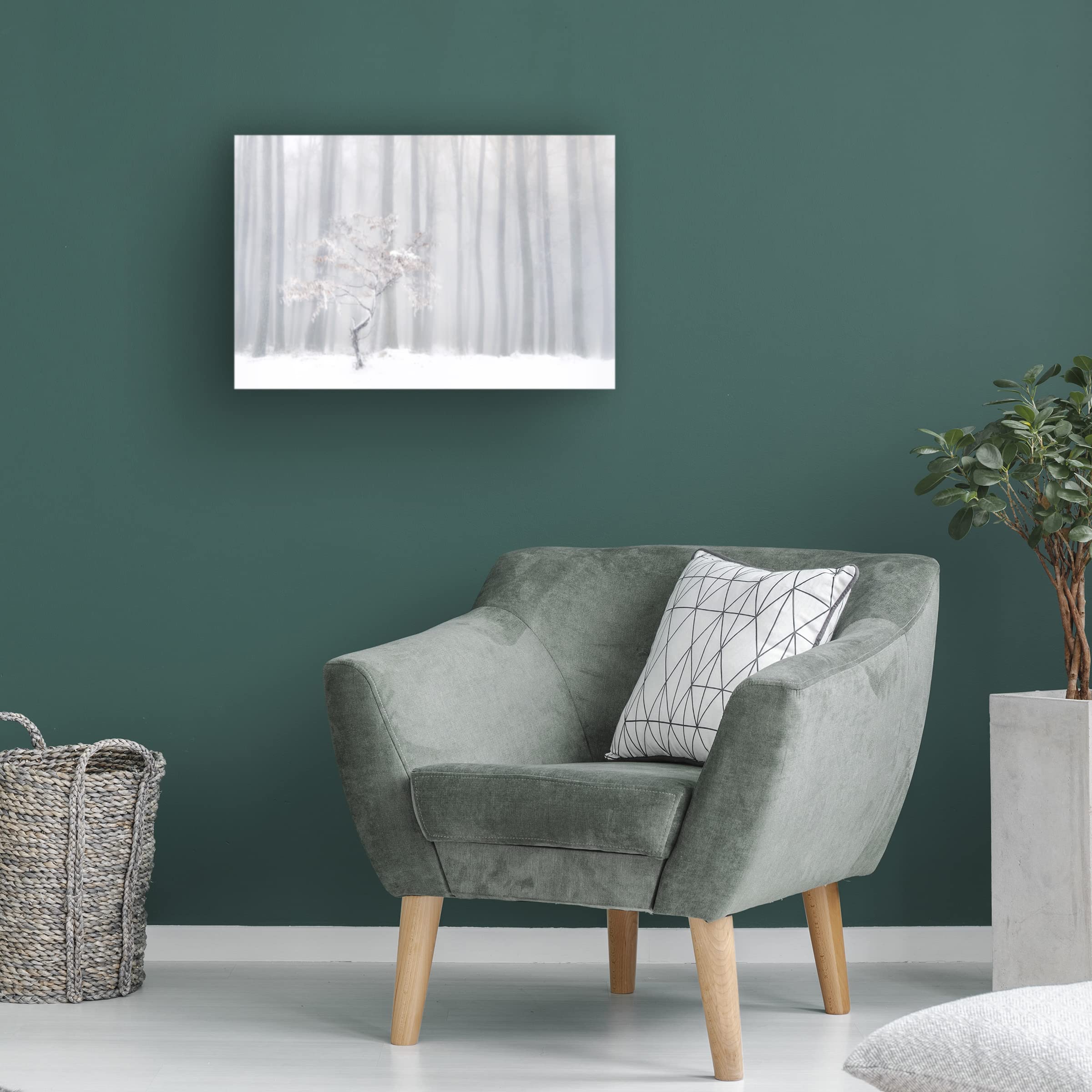 Trademark Fine Art 'In Front Of The Misty Curtain' Canvas Wall Art Print by Peter Svoboda MQEP - Perfect for Living Room, Bedroom & Office Decor