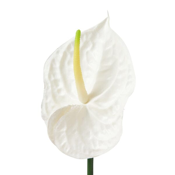 White Anthurium Artificial Flower - Elegant Home Decor for Living Room, Wedding, and Office