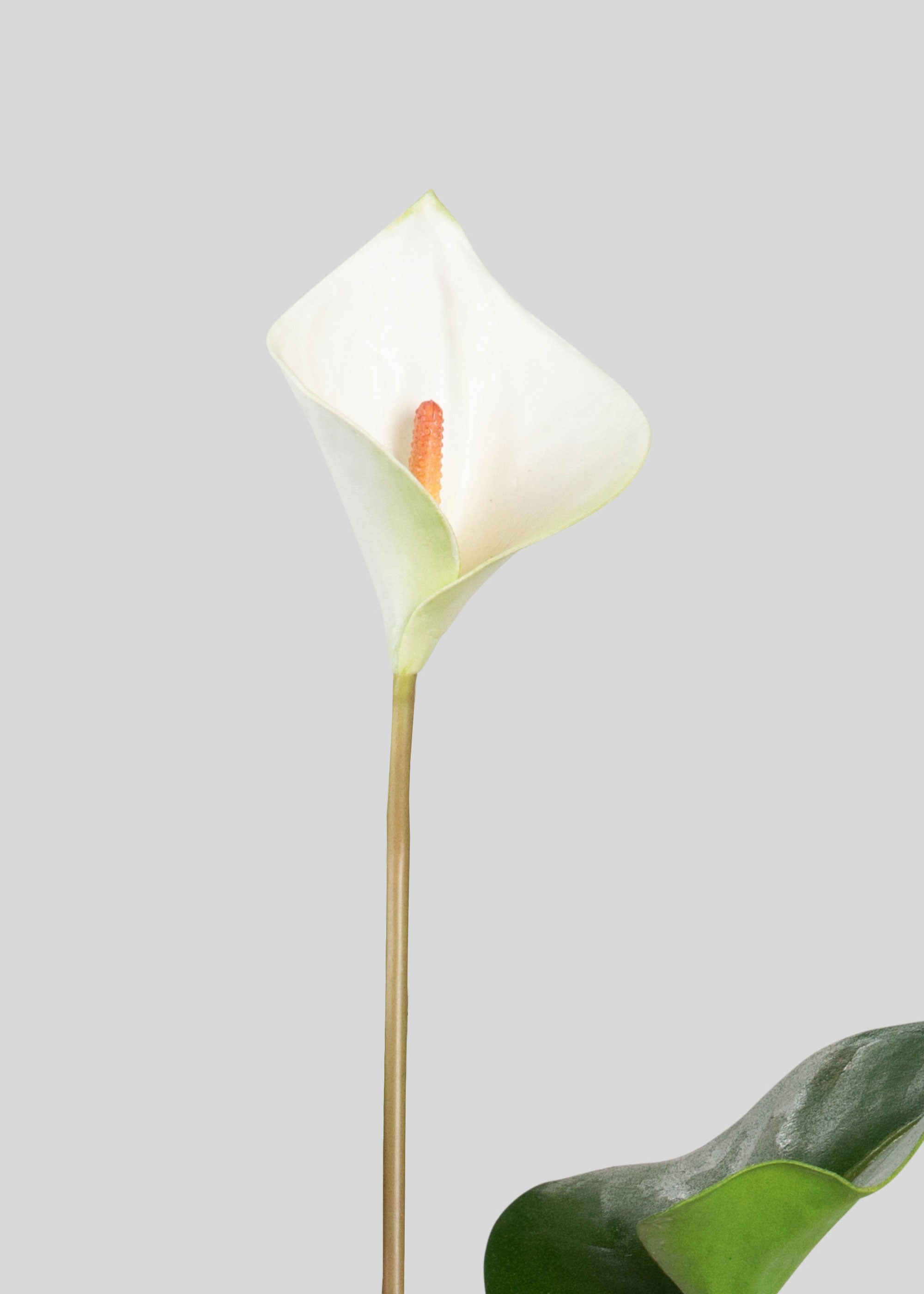25 Pack White Tropical Anthurium Artificial Flowers - Realistic Fake Floral Arrangement for Home Decor, Wedding Centerpieces, Office & Party Decorations