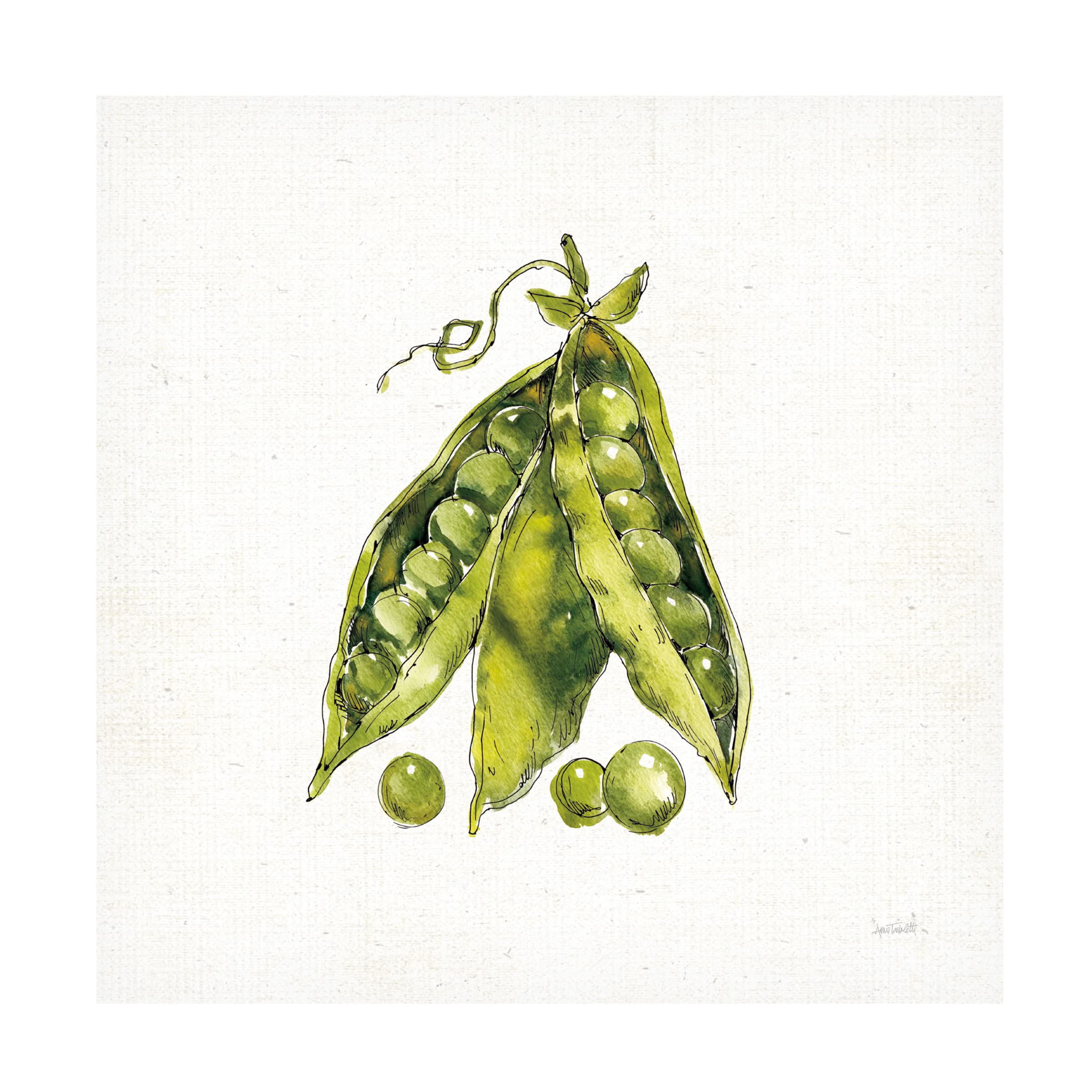 Anne Tavoletti 'Veggie Market IV Peas' Canvas Wall Art Print - Modern Kitchen Decor, Farmhouse Dining Room Painting, Vegetable Still Life Artwork for Home & Restaurant Decor