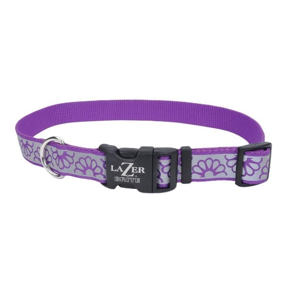 Lazer Brite Reflective Adjustable Dog Collar - High Visibility Pet Safety Collar for Night Walking, Running, and Outdoor Adventures