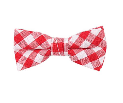 Red White Gingham