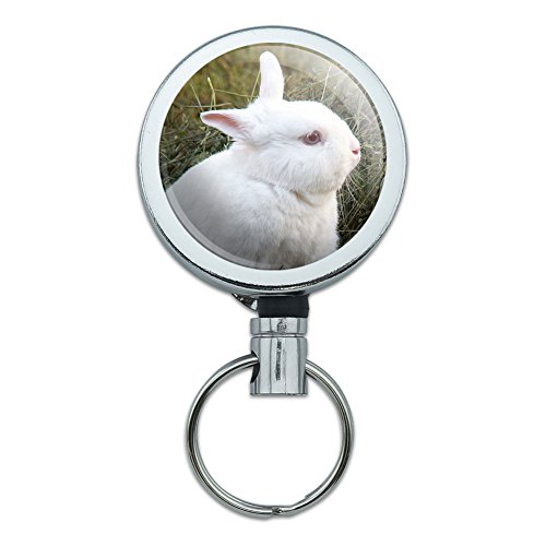 Rabbit Bunny White Easter