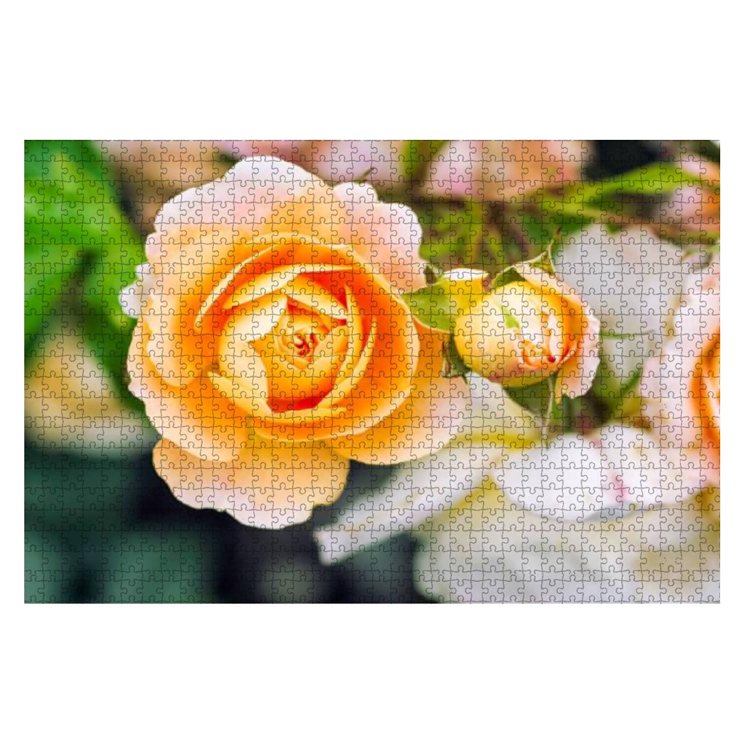 1000 Piece Wooden Jigsaw Puzzle - Summer Yellow Rose Flower & Bush Scenery - Educational & Stress Relief Toy for Kids & Adults - Perfect for Family Game Nights & Relaxation Activities