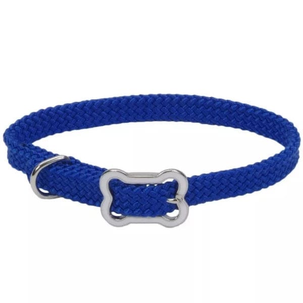 Stylish Coastal Sunburst Dog Collar with Durable Bone Buckle - Perfect for Beach Walks & Outdoor Adventures