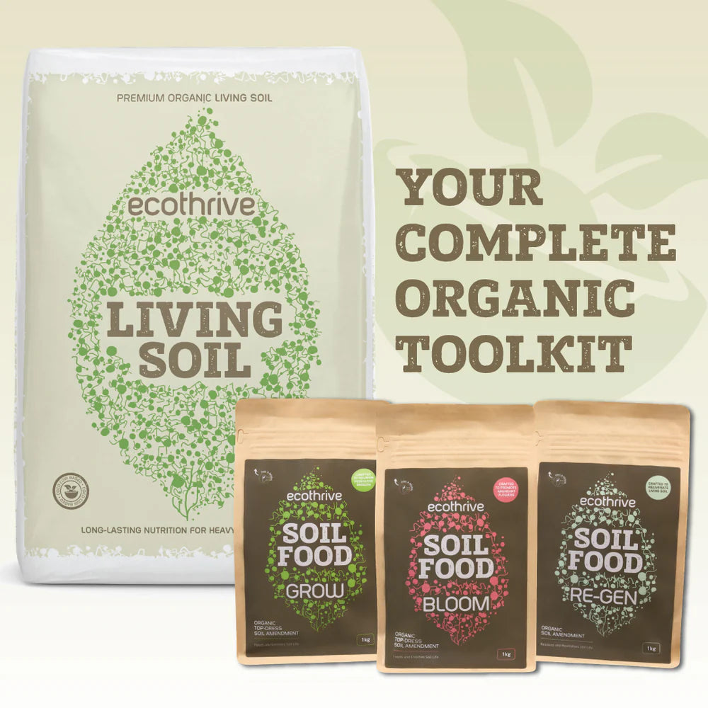 Premium Organic Living Soil - Ecothrive 40L for Healthy Plants | Ideal for Indoor Gardening, Houseplants & Sustainable Farming