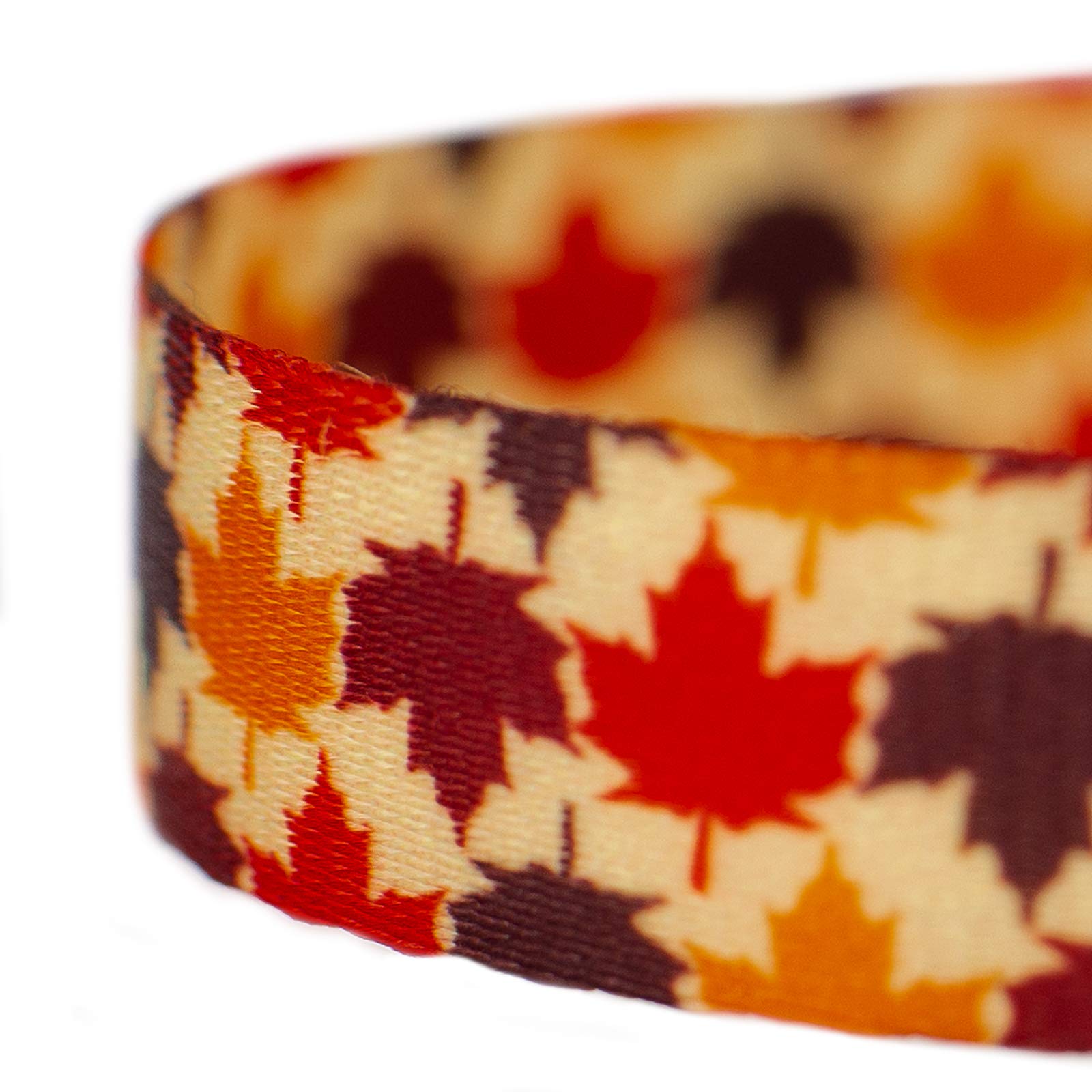 Country Brook Design - Nature Walk Dog Leash with Autumn Patterns (6 Foot, 1/2 Inch Wide) - Durable & Stylish Dog Walking Accessory for Fall Adventures, Park Visits, and Daily Walks