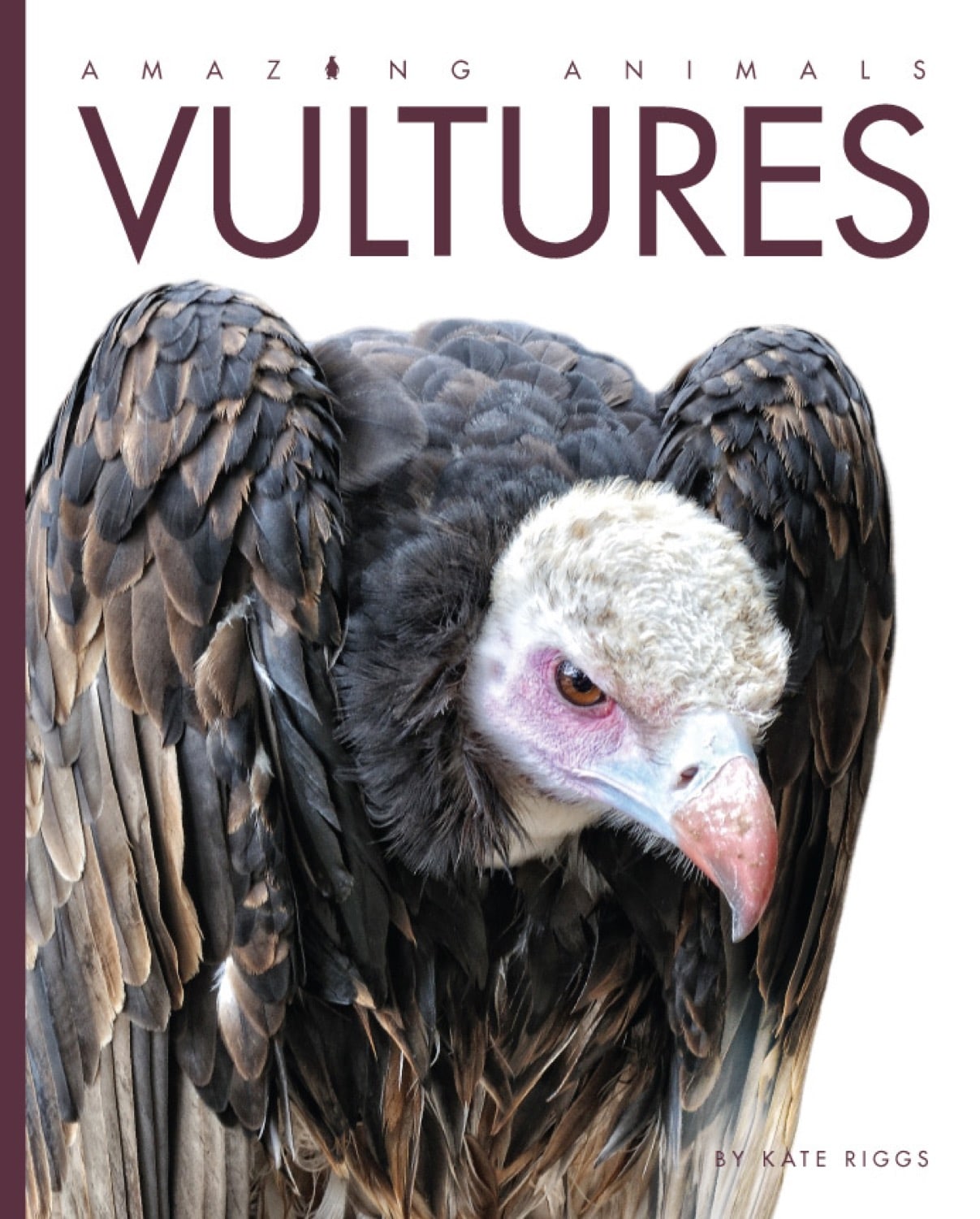 Amazing Animals (2014): Vultures - Nature Documentary, Wildlife Film, Bird Watching | Perfect for Animal Lovers, Classroom Education & Nature Enthusiasts