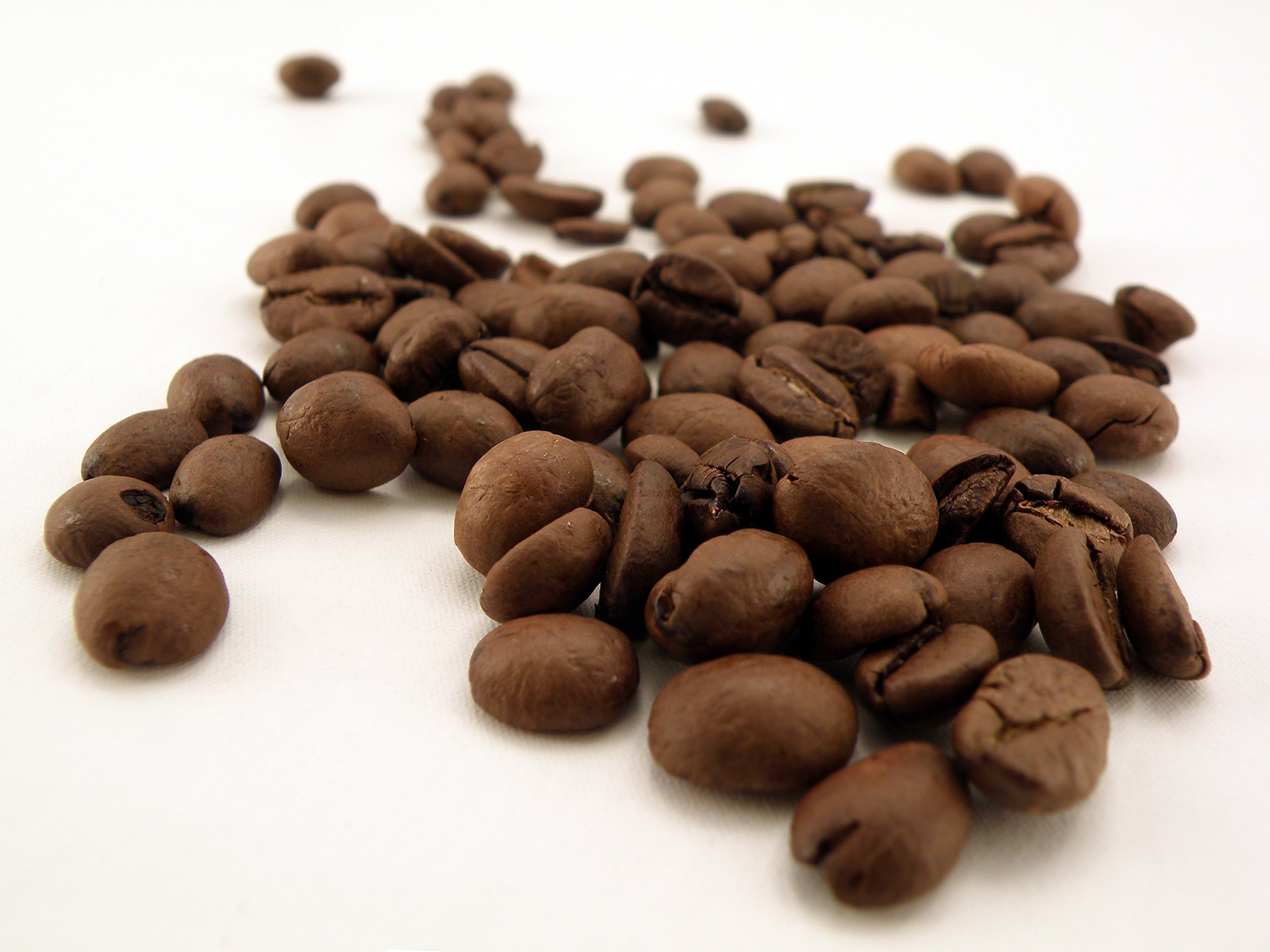 Premium Seattle Blend Fresh Roasted Gourmet Arabica Coffee Beans - 5lb Bag of Specialty Coffee for Home Brewing, Office & Cafes | Best Seattle Coffee Blends for Drip, French Press & Espresso