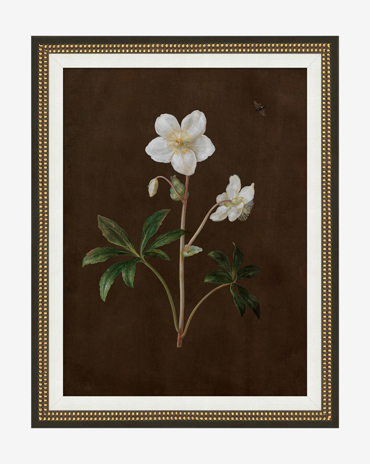 Sepia Sprouts II - Premium Home Decor & Unique Gift Idea for Housewarming, Wedding & Special Occasions