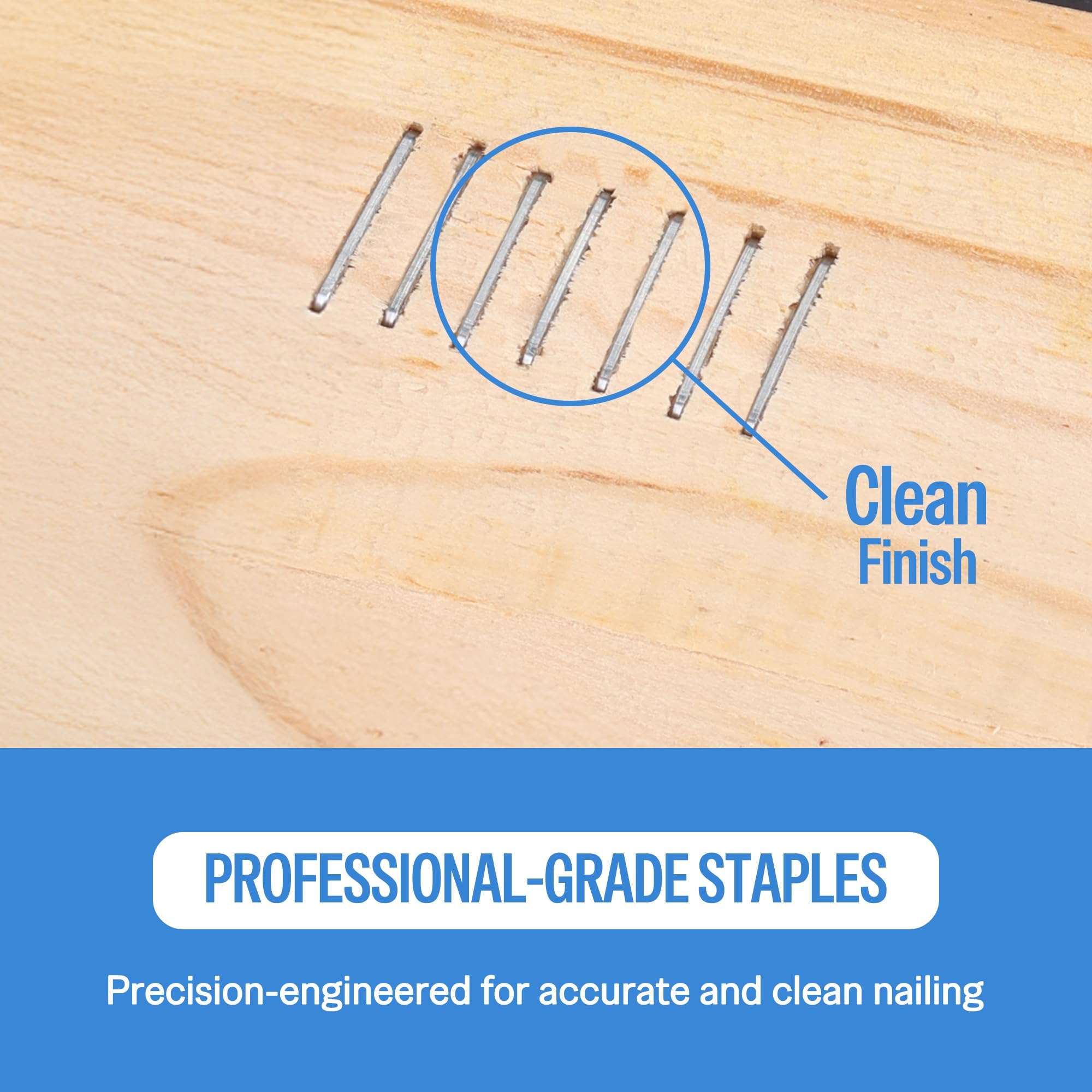 Meite 21 Gauge 1/2-Inch Crown 1/4-Inch Leg Length Galvanized Upholstery Staples - Compatible with MT8016 Stapler (10 Boxes) - Perfect for Furniture Repair, DIY Upholstery Projects & Home Decor