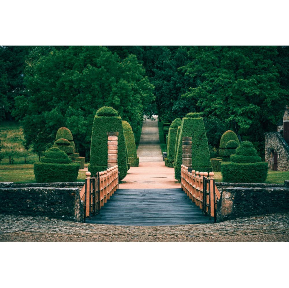 Leyiyi 20x10ft Garden Photography Backdrop - Scenic Greenery Bridge & St.Petersburg Castle Design for Wedding, Bridal Shower, Portrait & Travel Photos | Perfect for Outdoor Events, Baby Showers & Home Decor