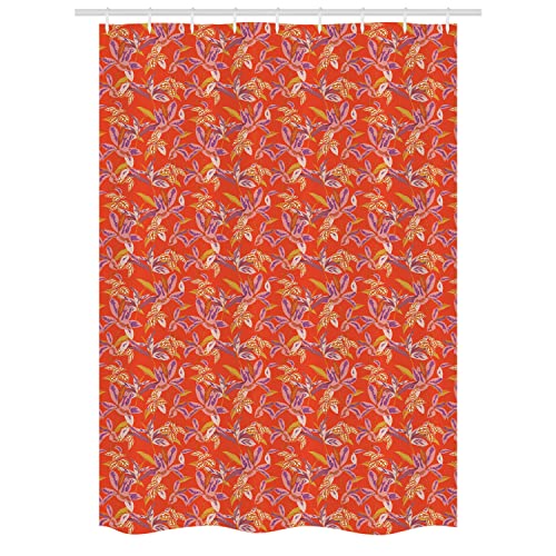 Vermilion Multicolor