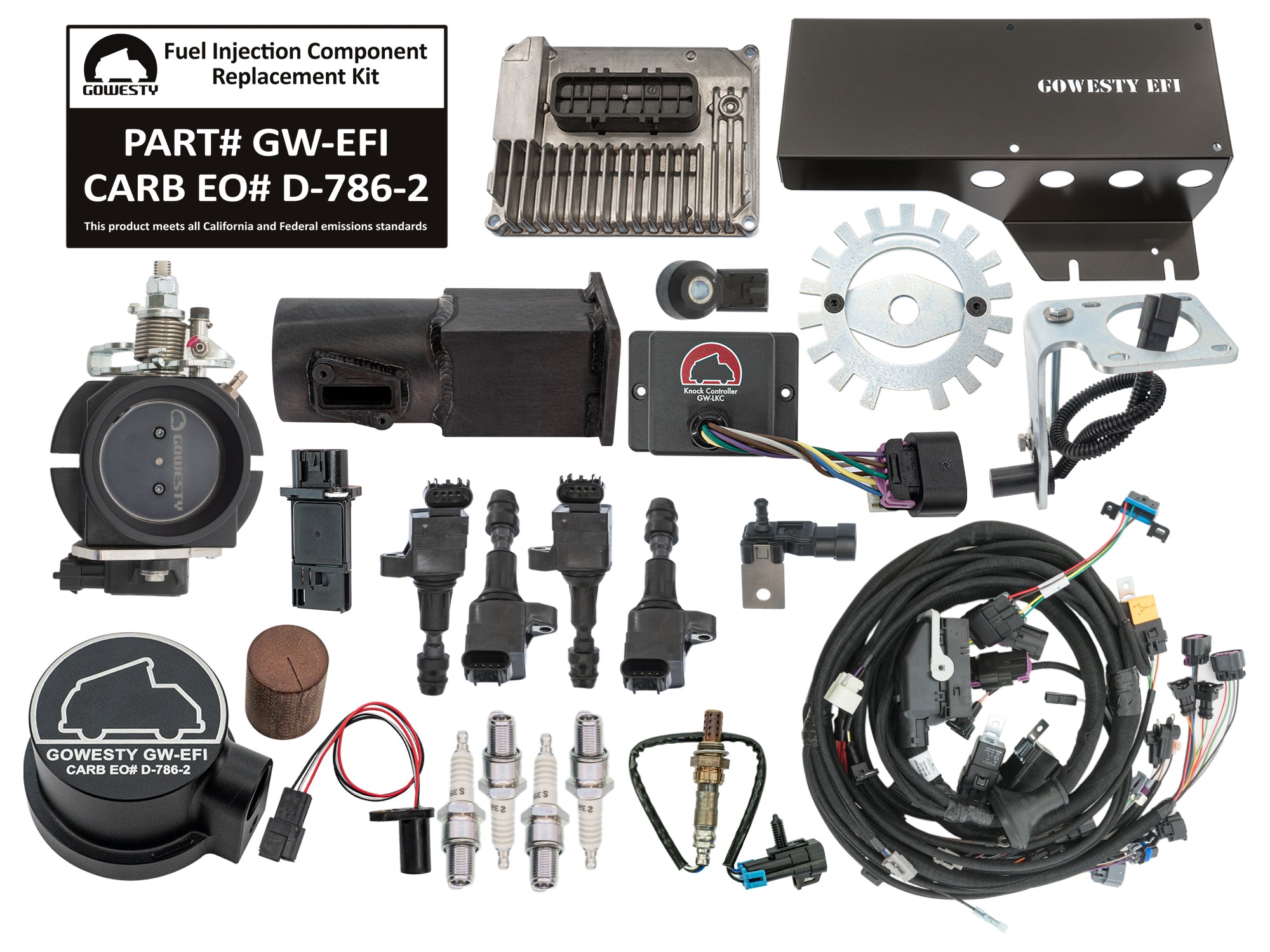 GoWesty Fuel Injection Component Replacement Kit (GW EFI) - High Performance Fuel System Parts for VW Vanagon & Eurovans - Perfect for Engine Maintenance & Off-Road Adventures