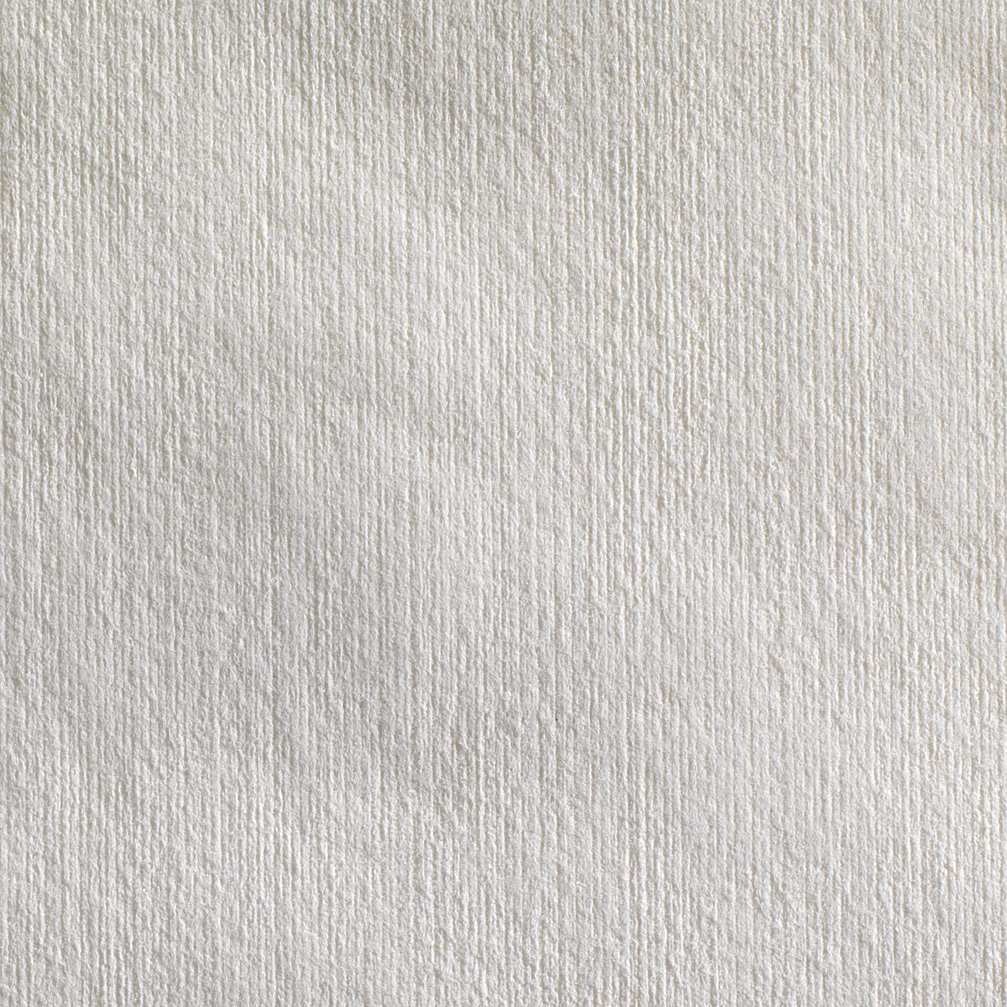 Georgia-Pacific Brawny Professional Heavyweight Disposable Shop Towels - White, 176 Towels per Box (10 Boxes/Case, 1760 Total) - Ideal for Automotive, Industrial & Workshop Cleaning