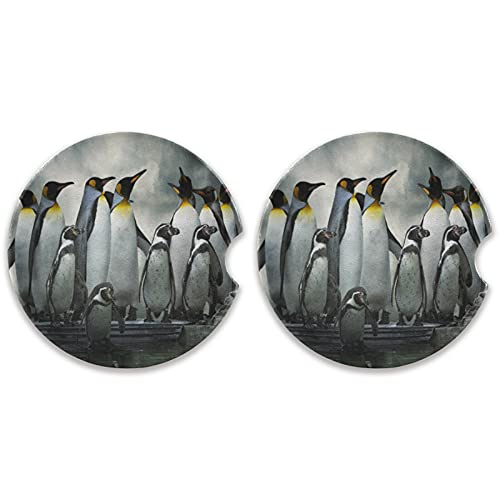 Animal Penguin
