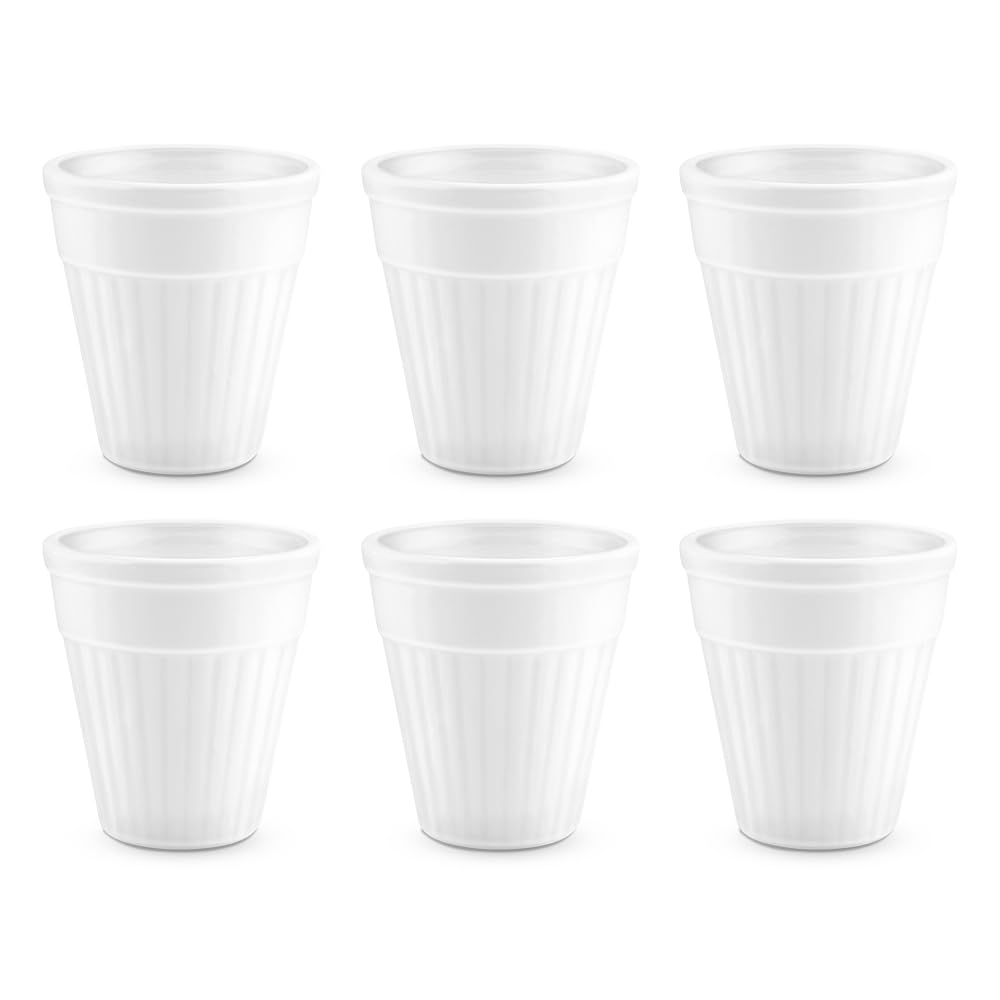 BOROSIL Larah 6-Piece Opalware Tea & Coffee Kulhad Set - 100ml Each, Microwave & Dishwasher Safe, Bone-Ash Free - Perfect for Home, Office, Parties & Gifting (White)