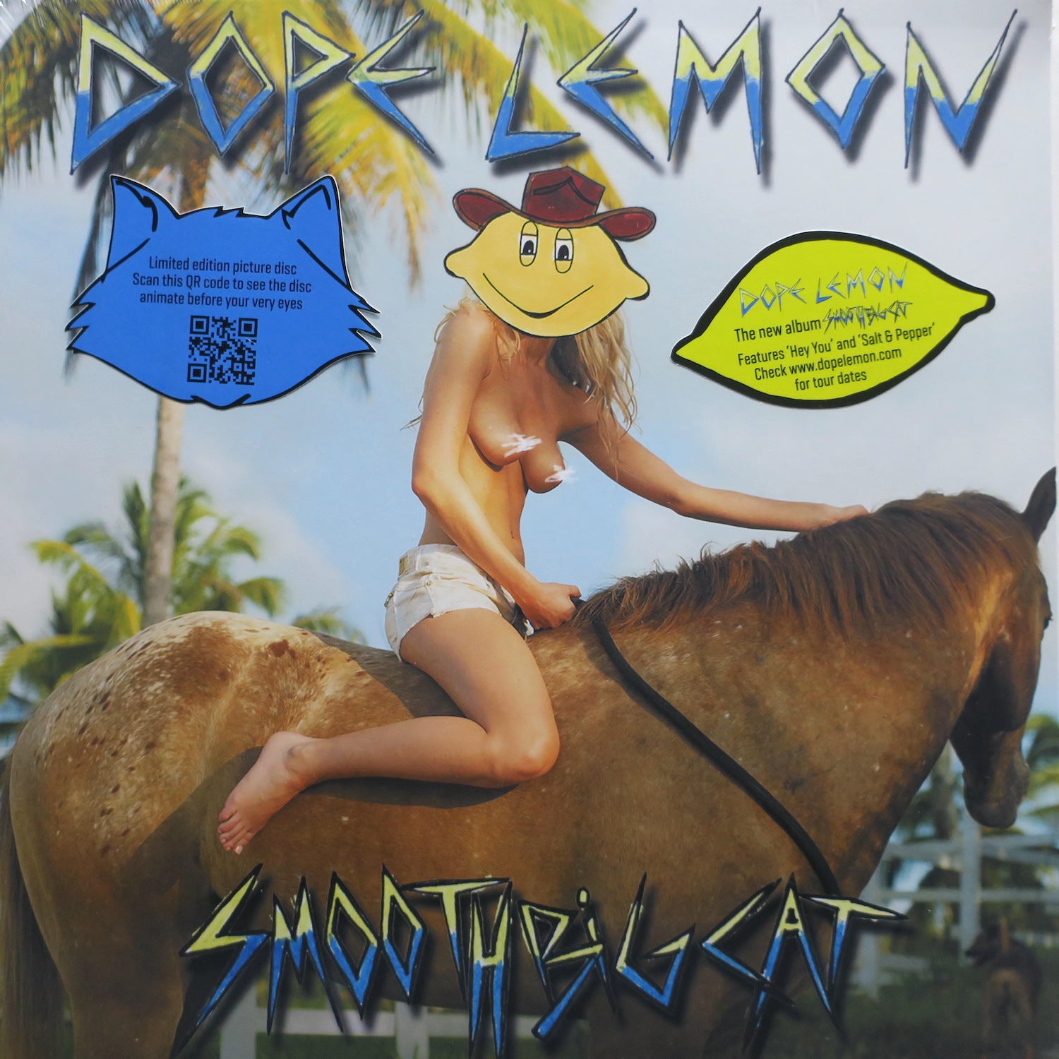 DOPE LEMON (Angus Stone) 'Smooth Big Cat' Picture Disc Vinyl LP - Limited Edition Collectible Record for Music Lovers & Vinyl Enthusiasts - Perfect for Home Listening, Gifts & Music Collections