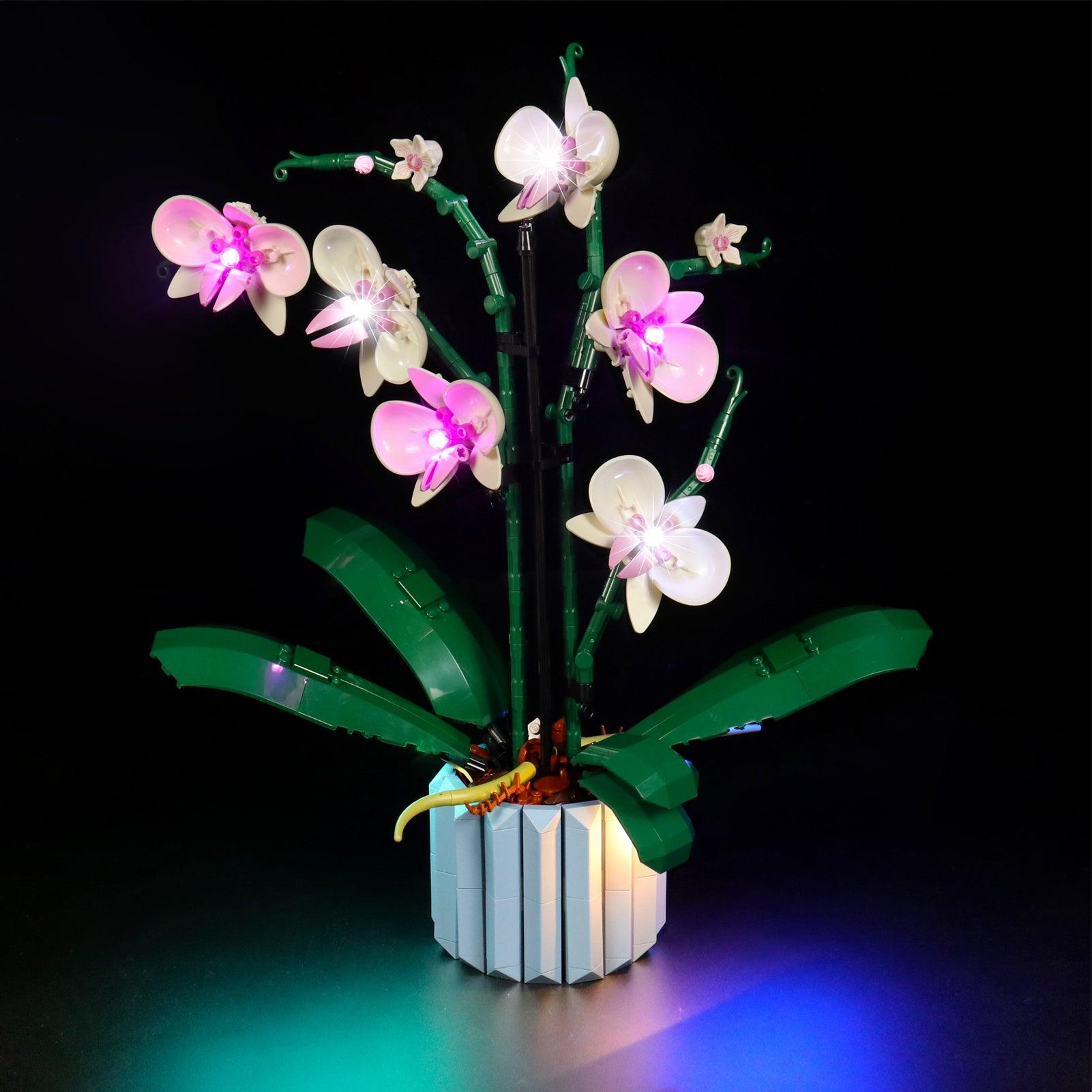 Premium LED Light Kit for Lego Ideas Orchid Flowers Building Set 10311 - Enhance Your Botanical Display with Custom Lighting for Home Decor & Gift Giving