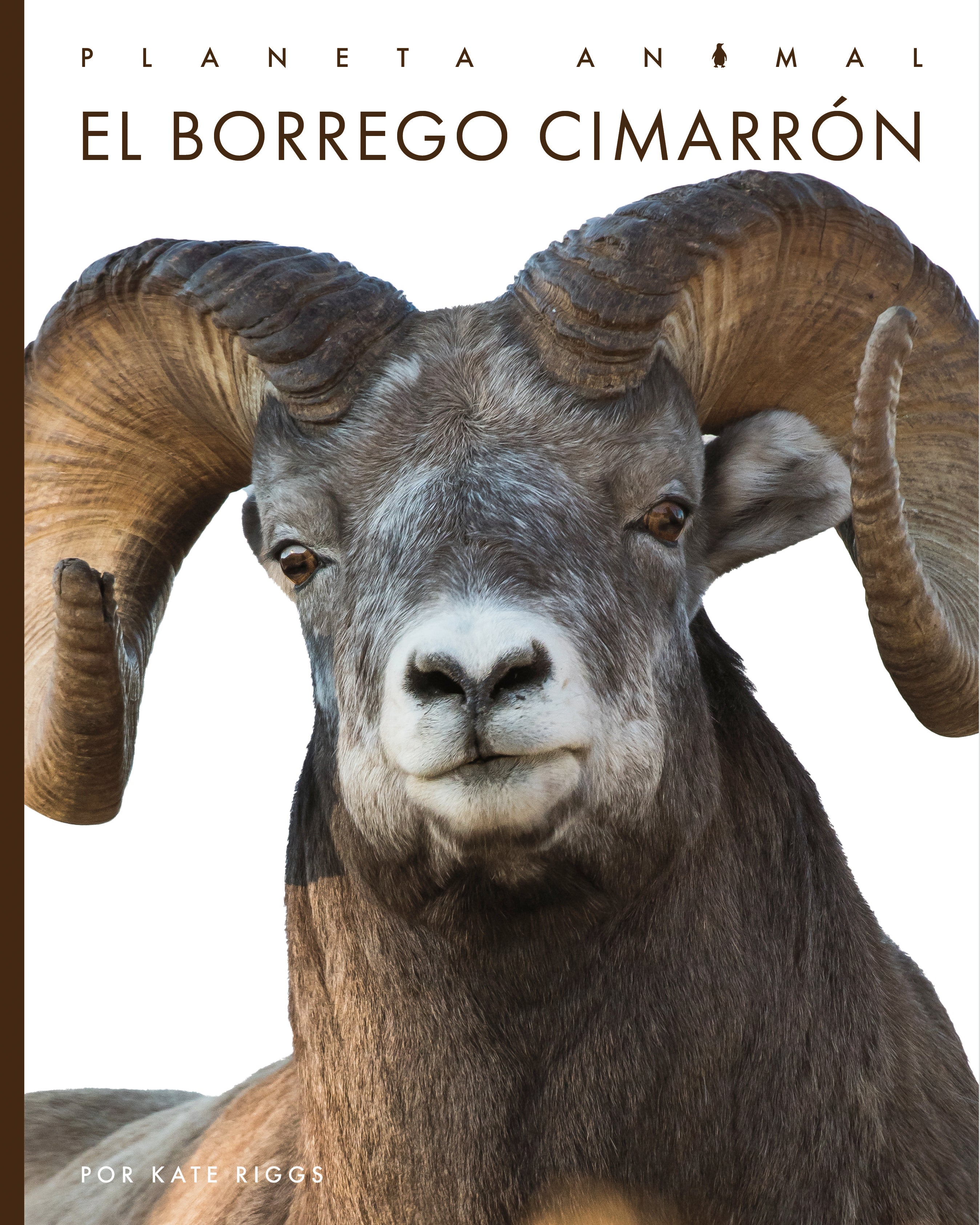 El Borrego Cimarrón - Premium Bighorn Sheep Hunting Gear & Outdoor Equipment for Adventurers | Perfect for Mountain Expeditions and Wildlife Photography