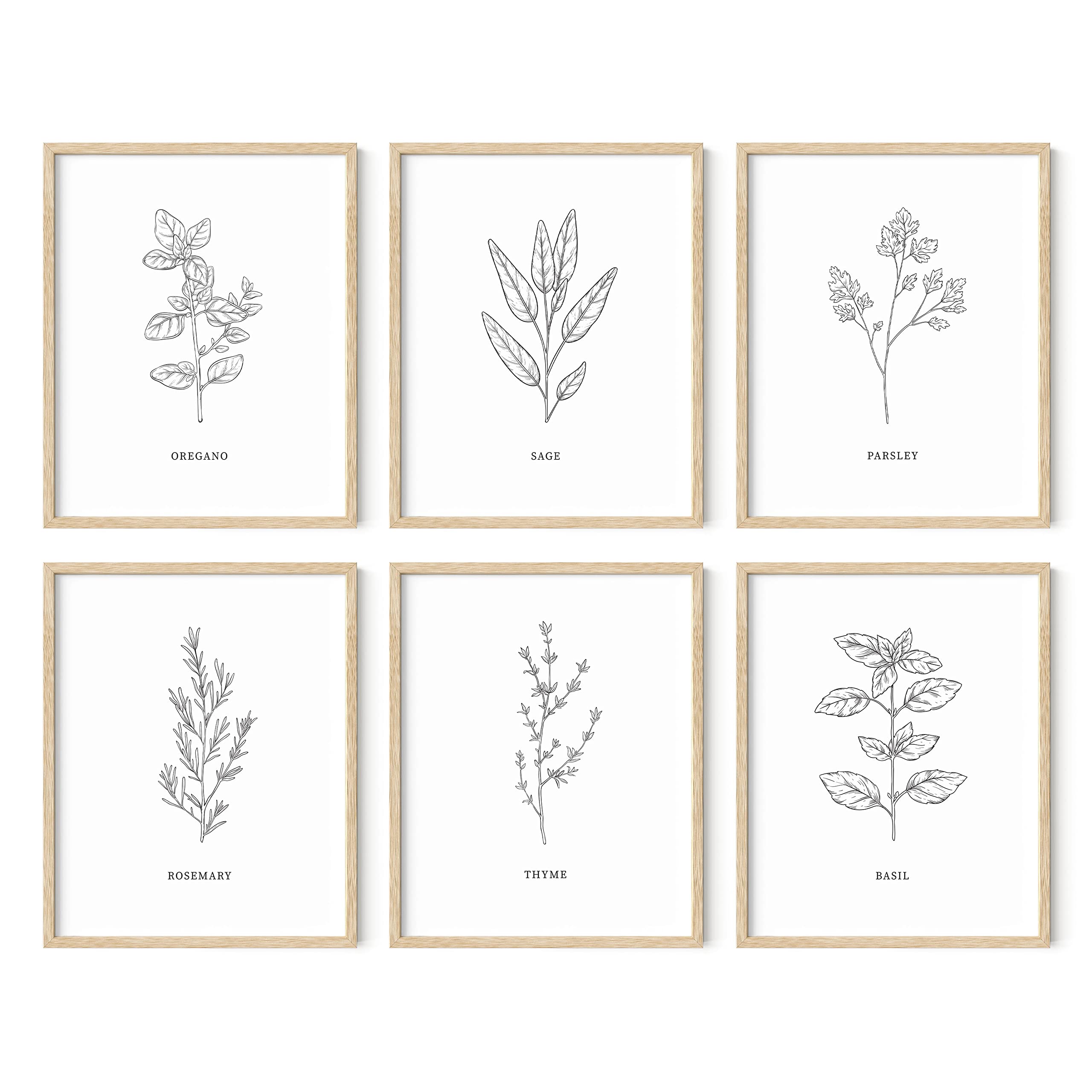 HAUS AND HUES Kitchen Herb Art Prints Set of 6 (8x10 Inches UNFRAMED) - Botanical Line Art Wall Decor for Kitchen, Dining Room & Living Room | Perfect for Home Decor, Housewarming Gifts & Farmhouse Style Interiors