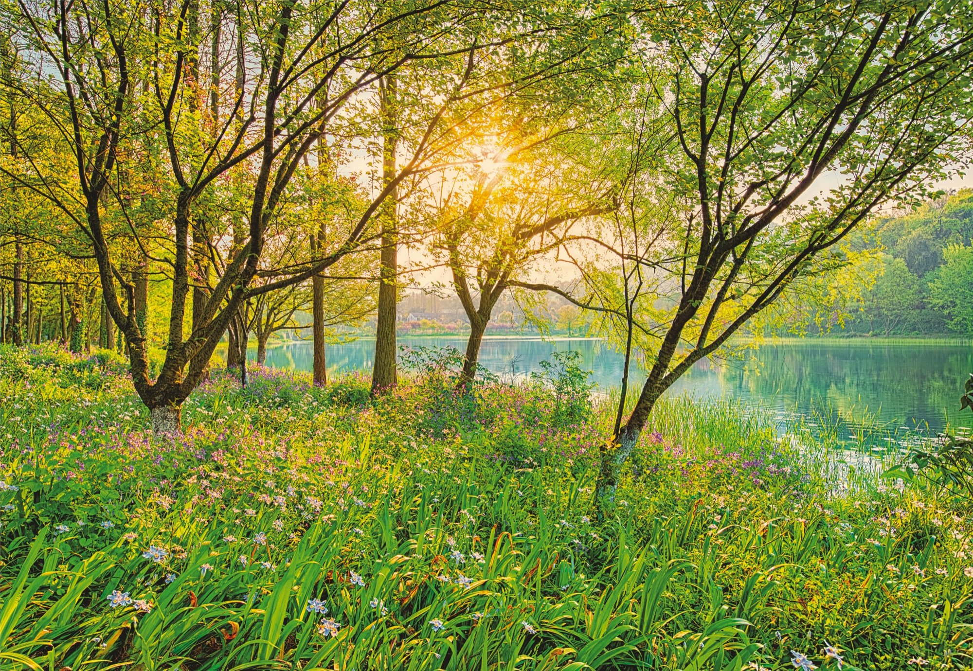 Komar 8-524 Spring Lake Wall Mural - Stunning Nature Landscape Wallpaper for Home & Office Decor | Perfect for Living Rooms, Bedrooms, and Commercial Spaces
