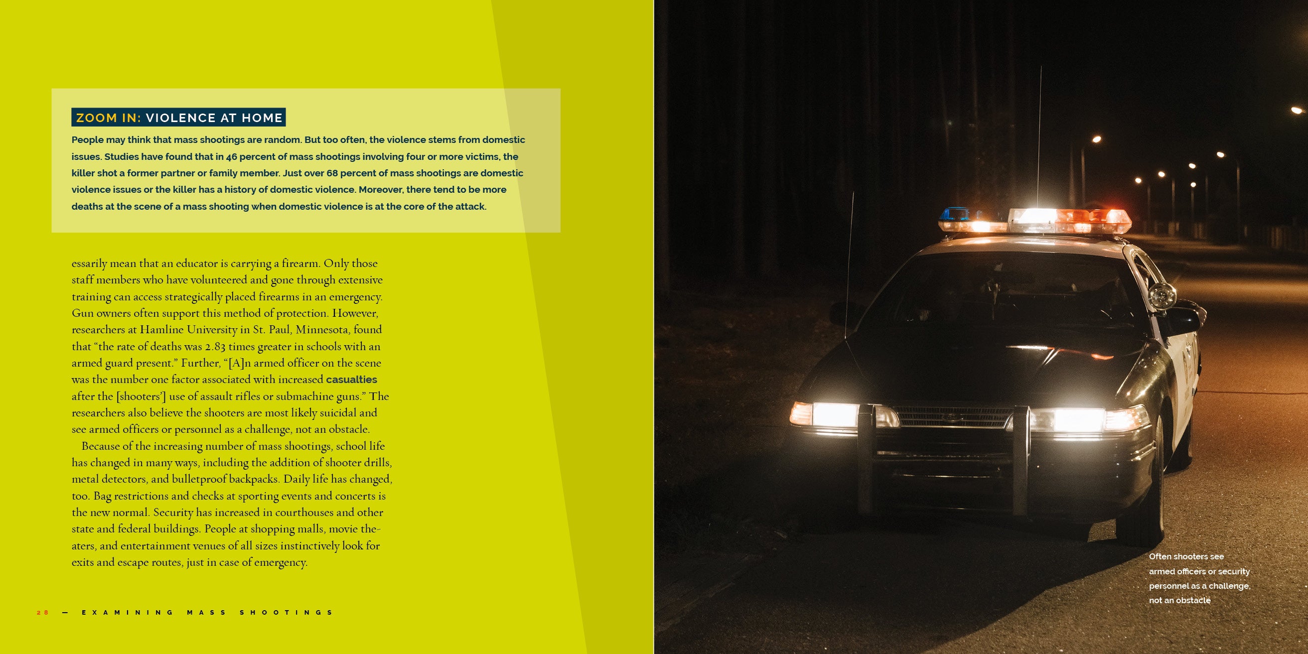 Examining Mass Shootings in the US - Causes, Statistics & Prevention Strategies | School Safety & Public Security Research
