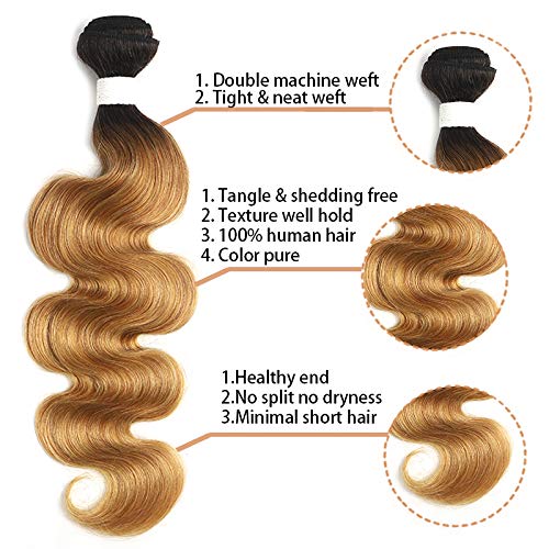 X-TRESS 1B/27 Brazilian Human Hair Bundles - 100% Remy Human Hair Extensions, Ombre Honey Blonde Body Wave Weave (26 Inch, T1B/27) for Stunning Length & Volume - Perfect for Daily Styling, Special Occasions & Salon Use
