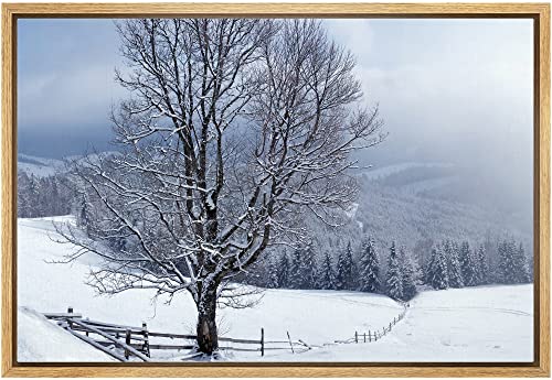 Snow Covered Trees