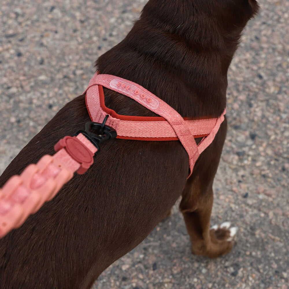 Zee.Dog Canyon Softer Walk Harness - Adjustable No-Pull Dog Harness for Small, Medium & Large Dogs - Perfect for Hiking, Walking & Outdoor Adventures