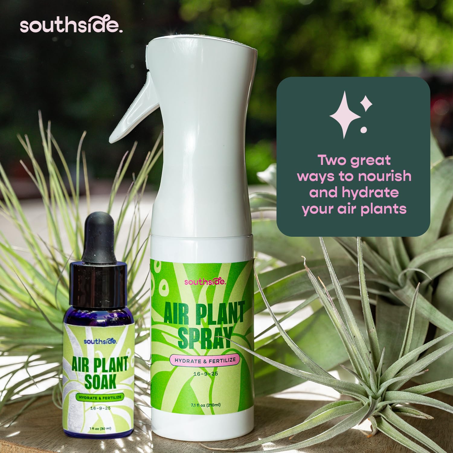 Air Plant Fertilizer Concentrated Soak by Southside Plants - Weekly Plant Food & Gentle Mist Formula for Houseplants - 1 oz | Perfect for Indoor Gardens, Terrariums & Home Decor