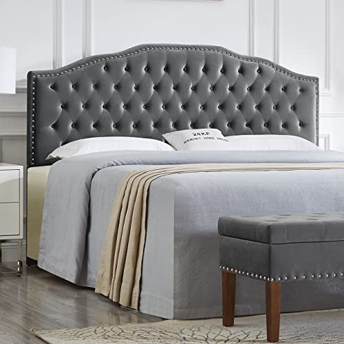 Dark Gray-king With Nails Trim