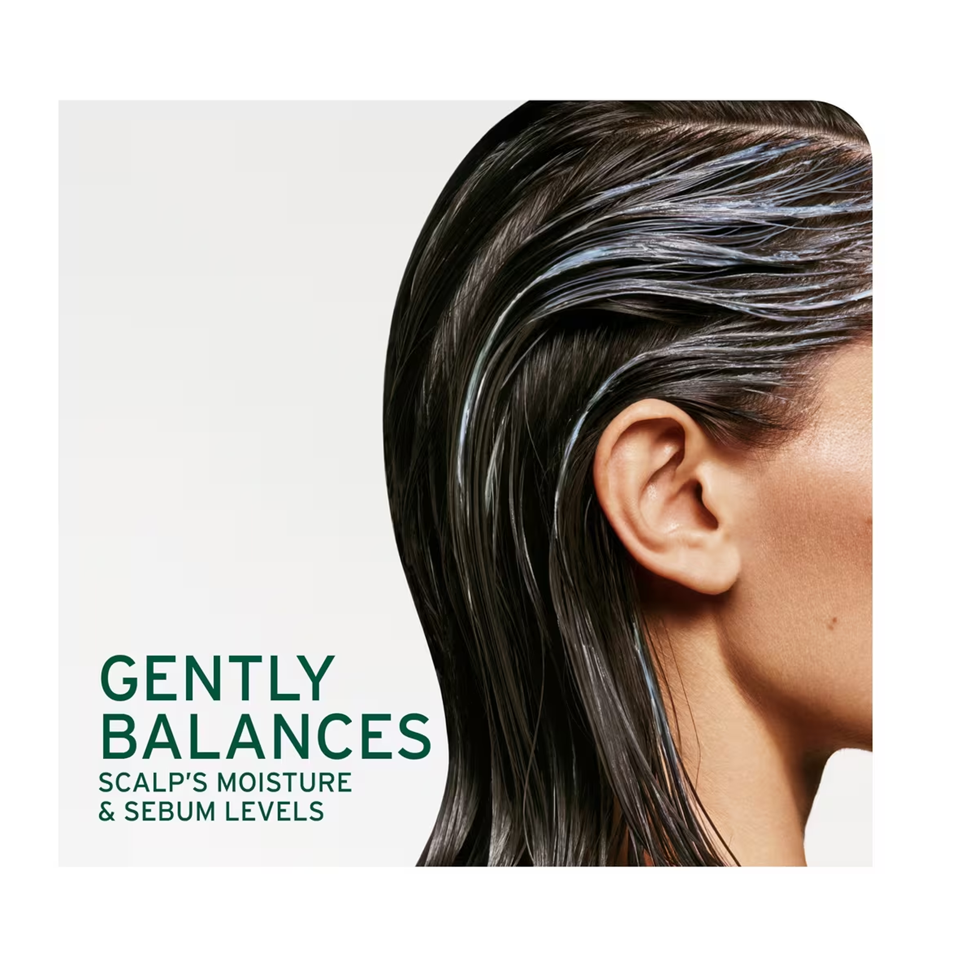 Biolage Scalp Sync Calming Shampoo 13.5oz & Conditioner 8oz Set - Soothe Dry Itchy Scalp, Hydrate Hair - For Sensitive Scalp & Color-Treated Hair - Perfect for Daily Use & Salon-Quality Results