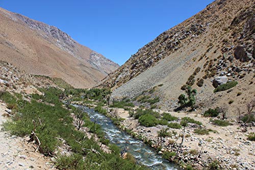 20x30 Inch Laminated Mountain Valley Poster - Vibrant Cochiguaz Chile Landscape Wall Art for Home & Office Decor - Perfect for Living Room, Bedroom or Office Framing