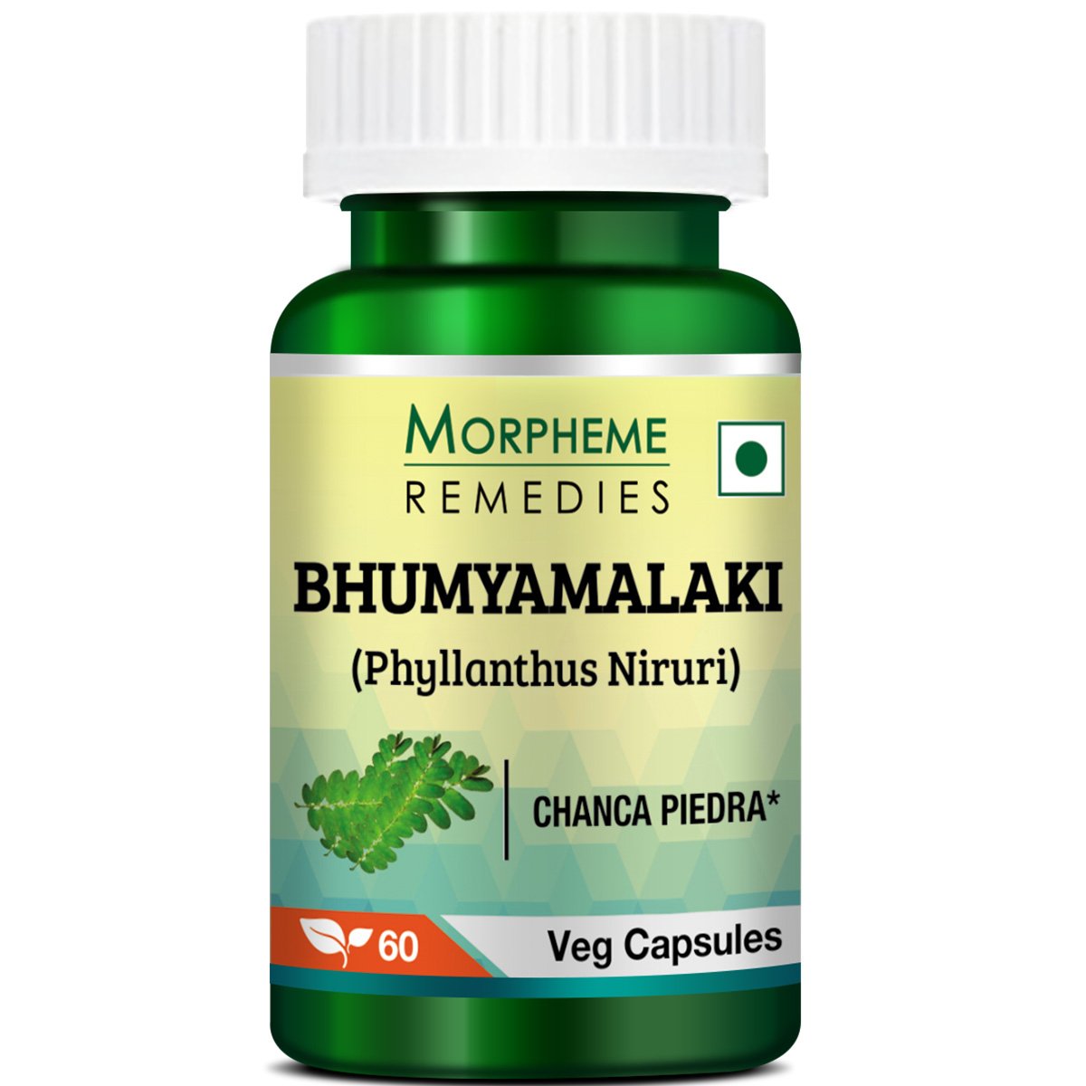 Morpheme Phyllanthus Niruri (Bhumyamlaki) 500mg Extract - 60 Vegan Capsules per Bottle - 6 Pack - Supports Liver & Kidney Health - Perfect for Daily Detox & Herbal Wellness Routine