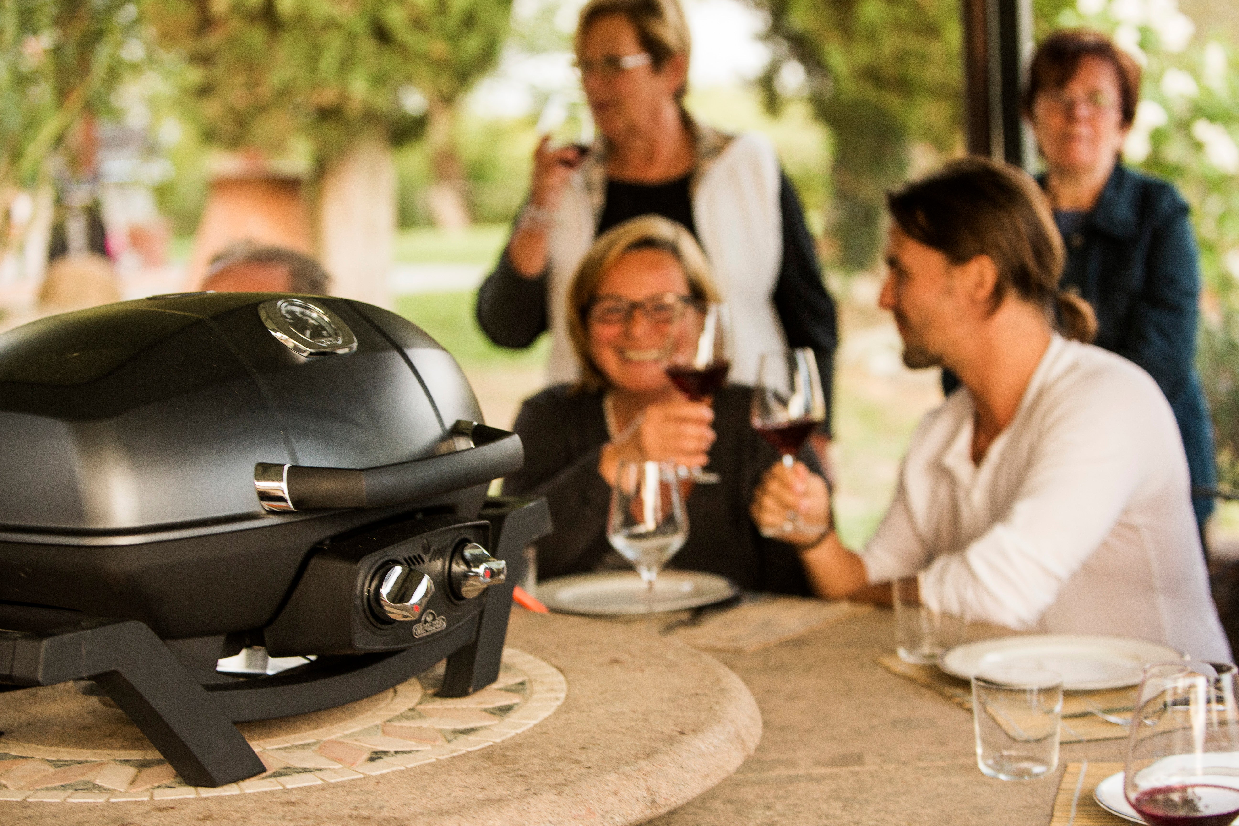 Napoleon TravelQ PRO 285 Portable Propane Gas Grill - Compact Outdoor BBQ Grill for Camping, Tailgating & Picnics (Black)
