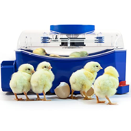 Premier 1 Supplies Borotto Lumia 8 Automatic Egg Incubator with Humidity Pump - Perfect for Poultry Farming, Hatching Chicken Duck Quail Eggs at Home or Farm
