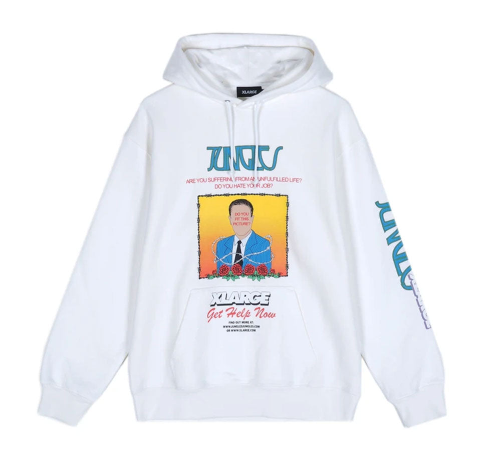 Do You Fit This Picture Pullover Hooded Sweatshirt - Cozy & Stylish Unisex Hoodie for Casual Wear, Gym & Outdoor Activities