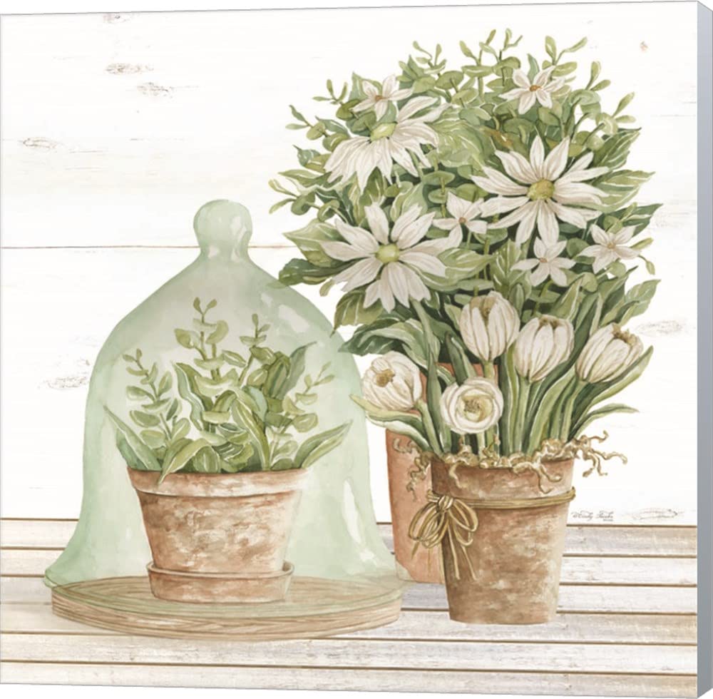 Cindy Jacobs Flowers and Terrarium Canvas Wall Art - 12x12 Inches Museum Wrapped with Winter Gray Sides - Perfect for Home Decor, Office, Living Room, Bedroom & Gift Giving