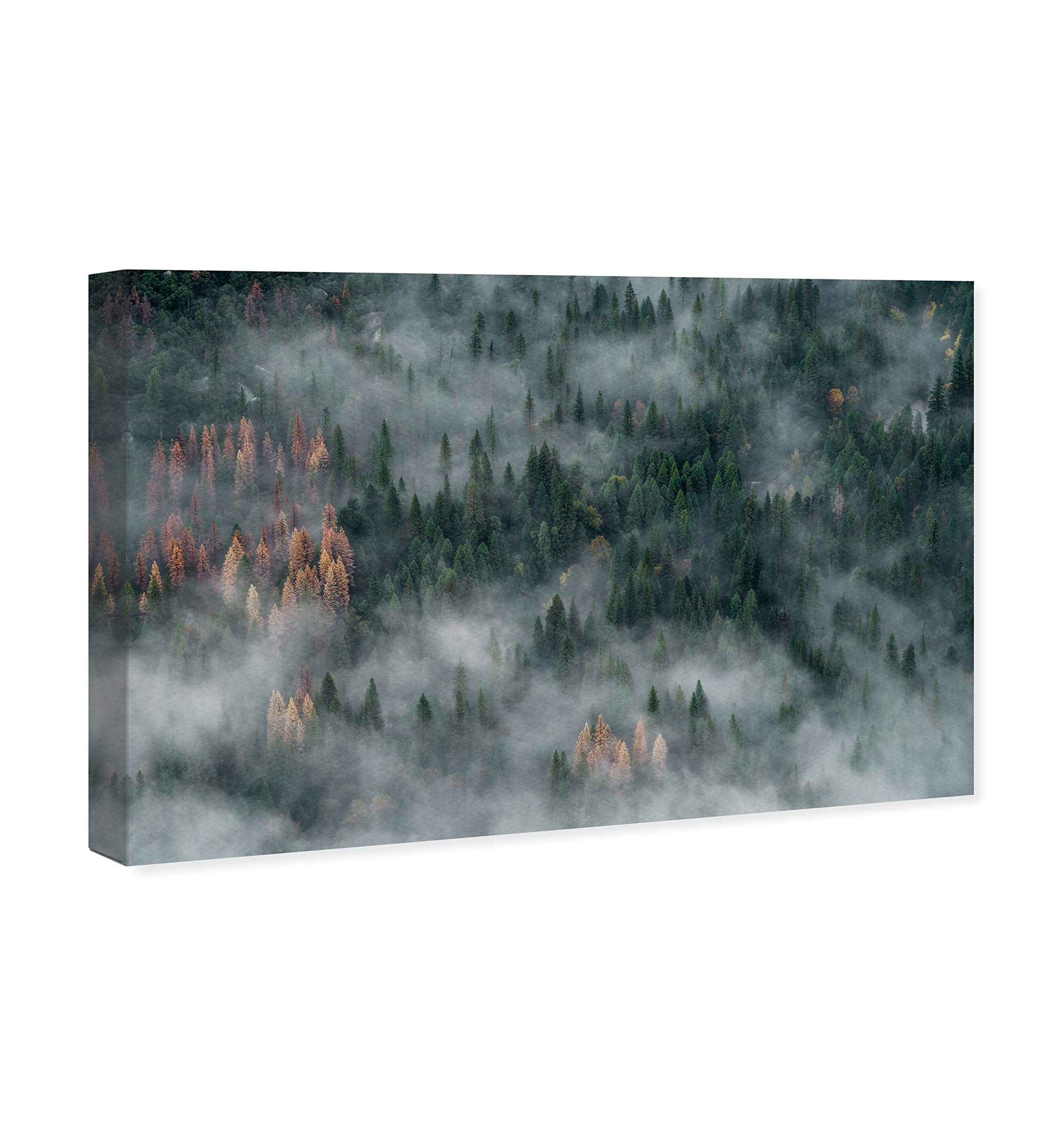 Oliver Gal Artist Co. 'Inmensidad' Nature & Landscape Wall Art Canvas Print - 36x24 Inches, Green & White - Perfect for Living Room, Bedroom & Office Décor