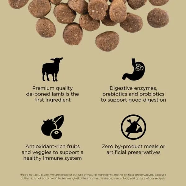 Go! Solutions Carnivore Grain-Free Lamb & Wild Boar Recipe Dry Dog Food – High-Protein, Natural Ingredients for Active Dogs – Perfect for Large Breeds & Sensitive Stomachs