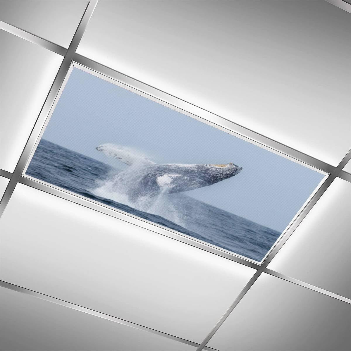 4 Pack Fluorescent Light Covers - Humpback Whale Breaching Design, 4' x 2' Magnetic Decorative Ceiling Light Filters for Classroom, Office & Home - Enhance Ambiance & Reduce Glare