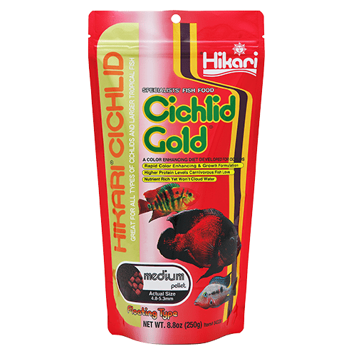 Hikari Cichlid Gold Floating Pellet Fish Food - Premium Floating Pellets for Cichlid Fish, Tropical Fish & Goldfish - Ideal for Aquarium, Pond & Fish Tank Feeding