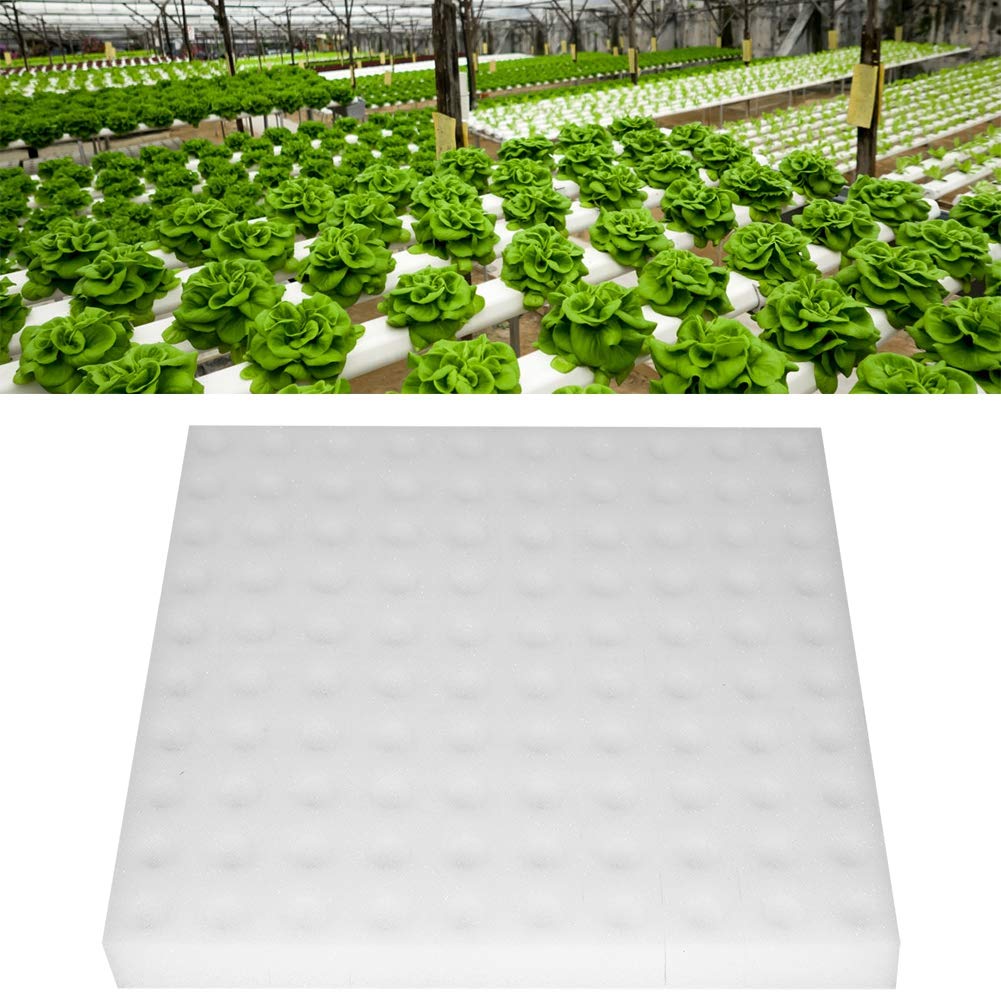 UBERSWEET® 100Pcs Hydroponic Sponge Cubes - Plant Starter Plugs for Seedlings, Herbs & Microgreens | Faster Root Growth, Reusable & Eco-Friendly | Perfect for Indoor Gardening, Hydroponics Systems & Greenhouse Cultivation