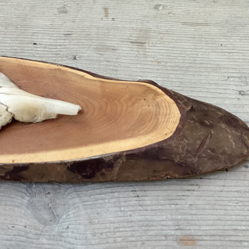 Black Forest Antlers on Plaque - Natural Deer Antler Decor for Cabin, Lodge & Hunting Room - Rustic Wall Mounted Trophy Display for Home & Office