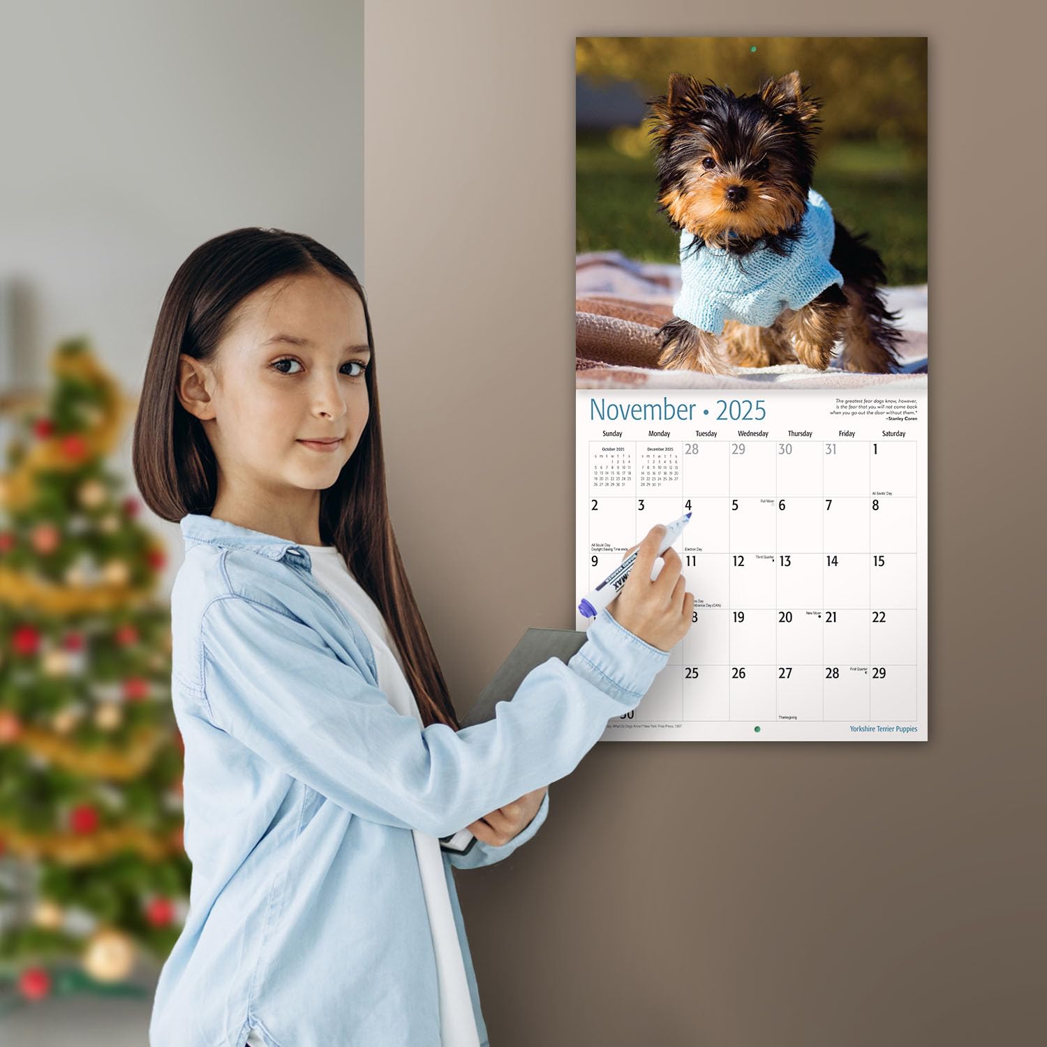 MICASA PRESS - 2025 Yorkshire Terrier Puppies Wall Calendar | 12