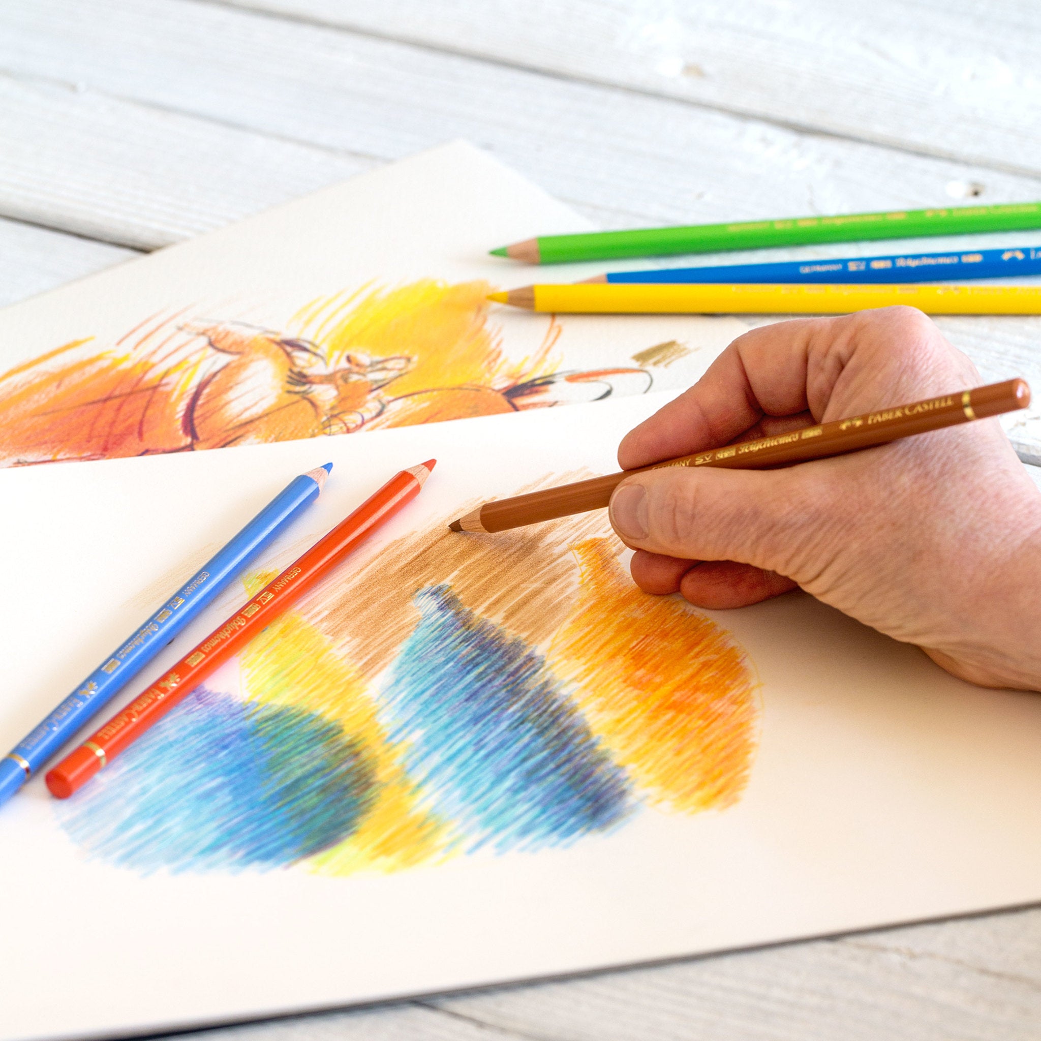Faber-Castell Polychromos Artists' Color Pencils Set of 12 - Premium Oil-Based Colored Pencils for Professional Drawing, Sketching & Adult Coloring - Perfect for Artists, Illustrators & Art Enthusiasts